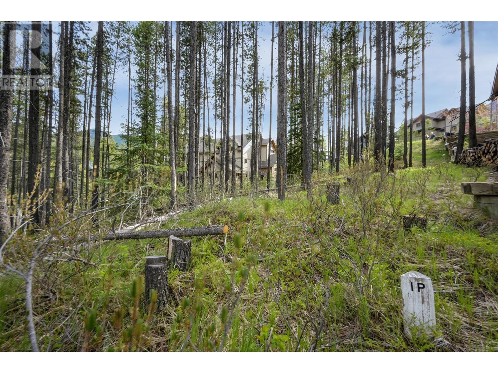 Lot 2 Cliffside Grove, Panorama, British Columbia  V0A 1T0 - Photo 13 - 10348617