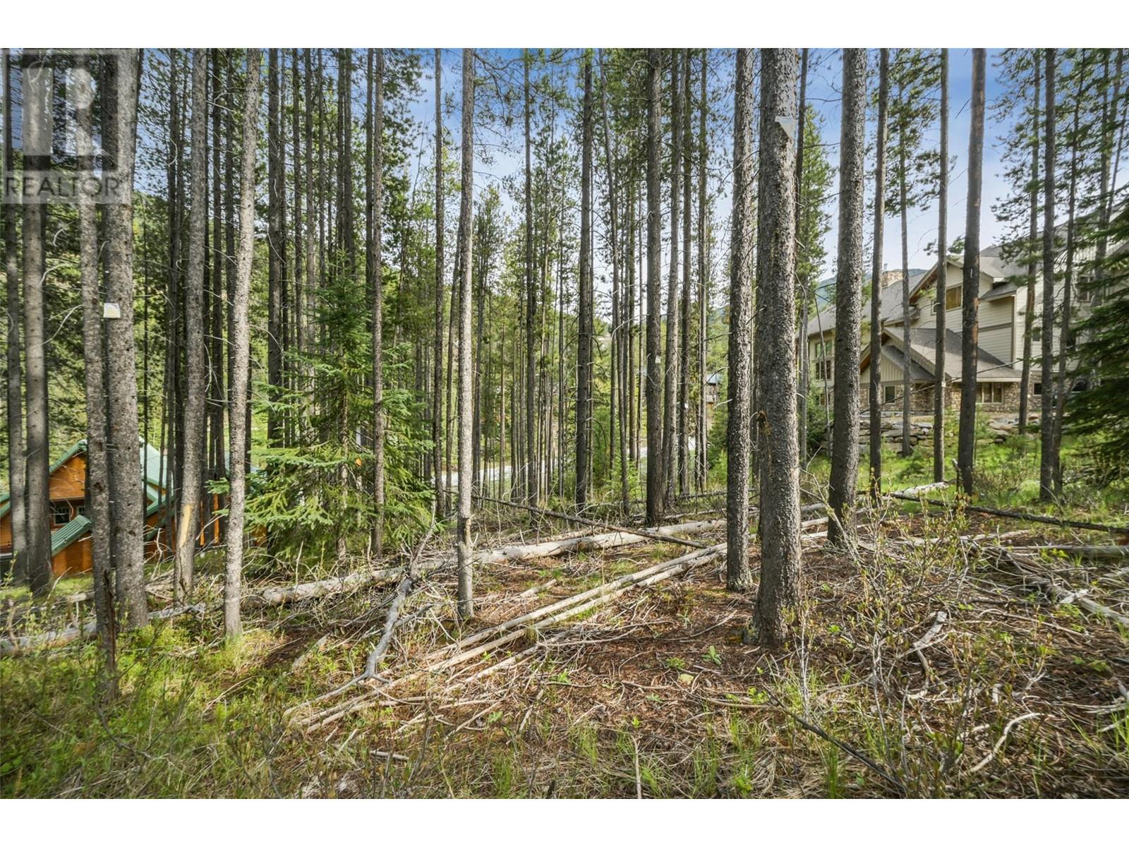 Lot 2 Cliffside Grove, Panorama, British Columbia  V0A 1T0 - Photo 14 - 10348617
