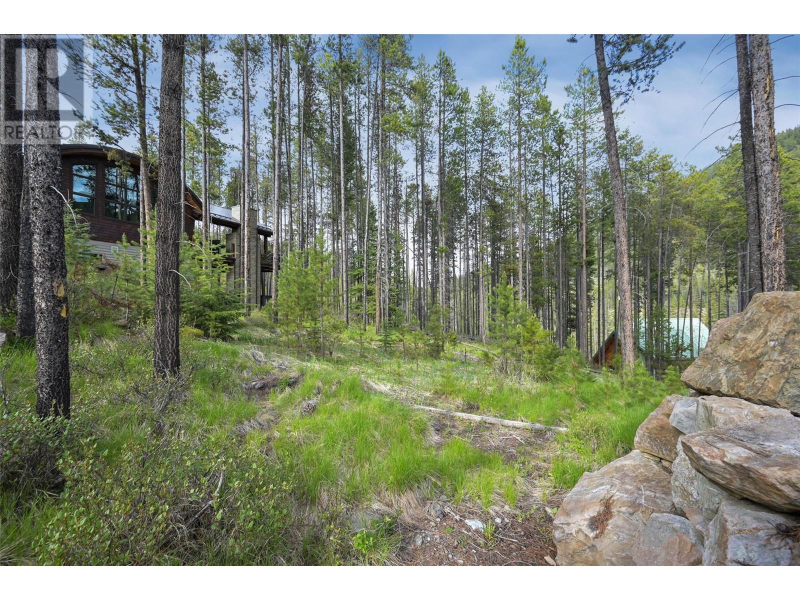 Lot 2 Cliffside Grove, Panorama, British Columbia  V0A 1T0 - Photo 2 - 10348617