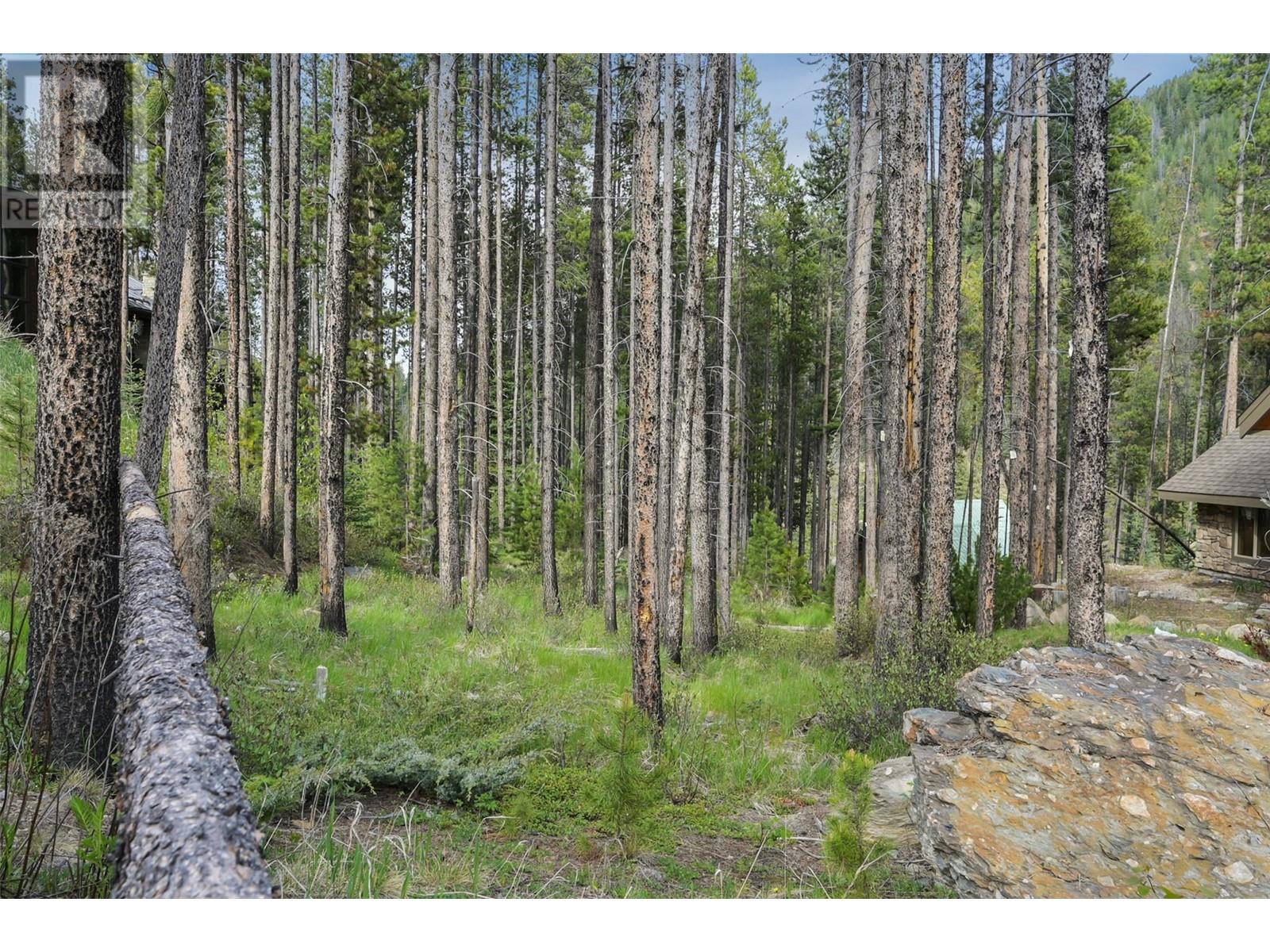 Lot 2 Cliffside Grove, Panorama, British Columbia  V0A 1T0 - Photo 4 - 10348617