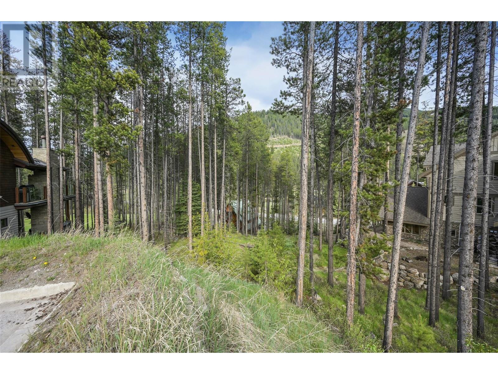 Lot 2 Cliffside Grove, Panorama, British Columbia  V0A 1T0 - Photo 6 - 10348617