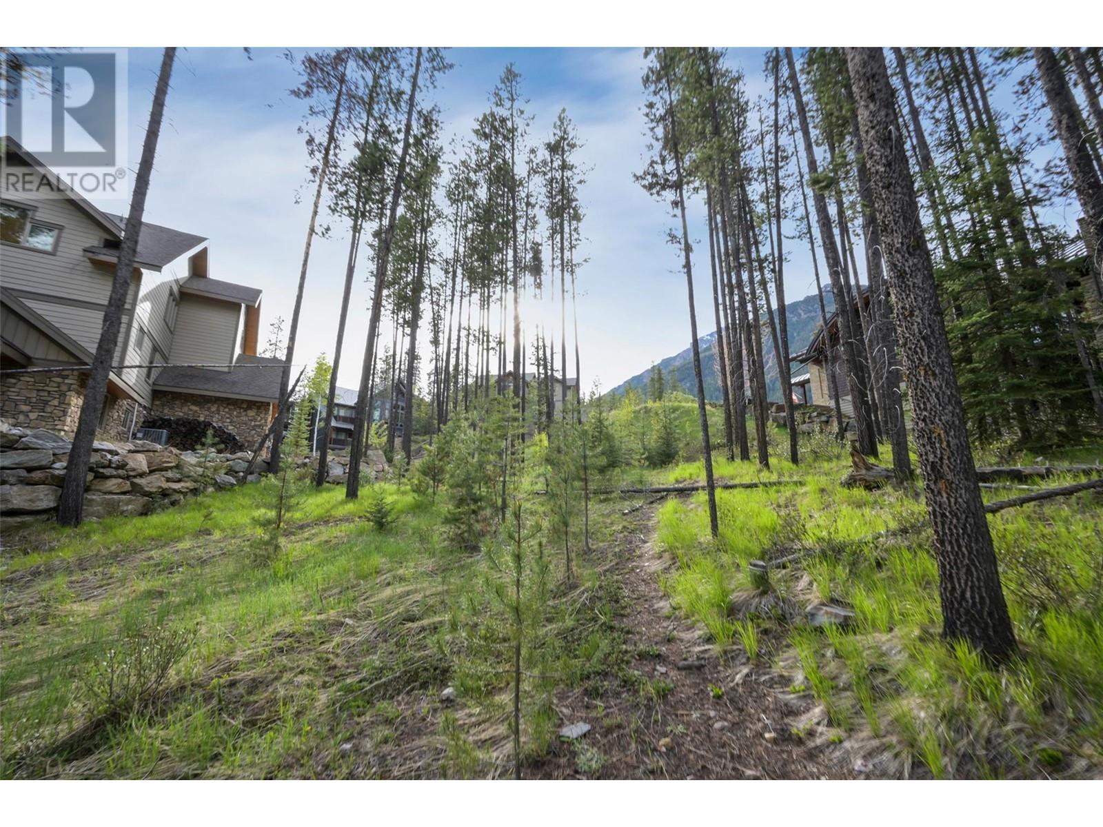 Lot 2 Cliffside Grove, Panorama, British Columbia  V0A 1T0 - Photo 8 - 10348617