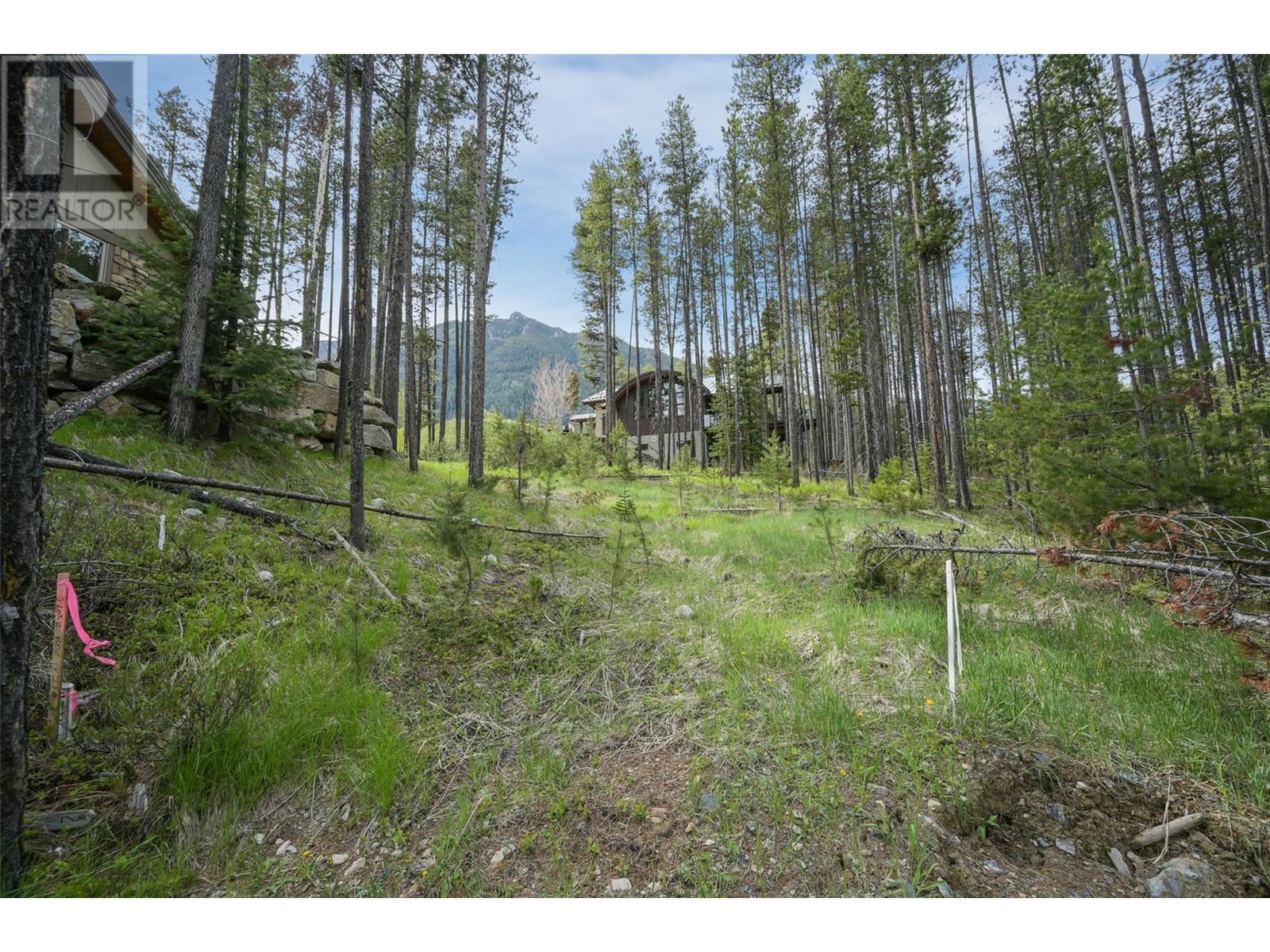 Lot 2 Cliffside Grove, Panorama, British Columbia  V0A 1T0 - Photo 9 - 10348617