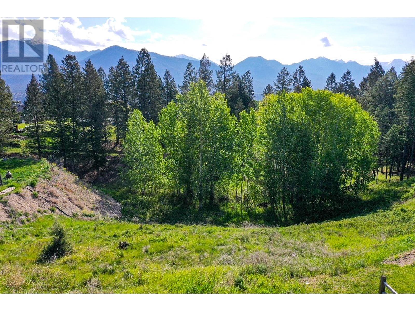2161 Pinetree Place, Invermere, British Columbia  V0A 1K4 - Photo 11 - 10349356