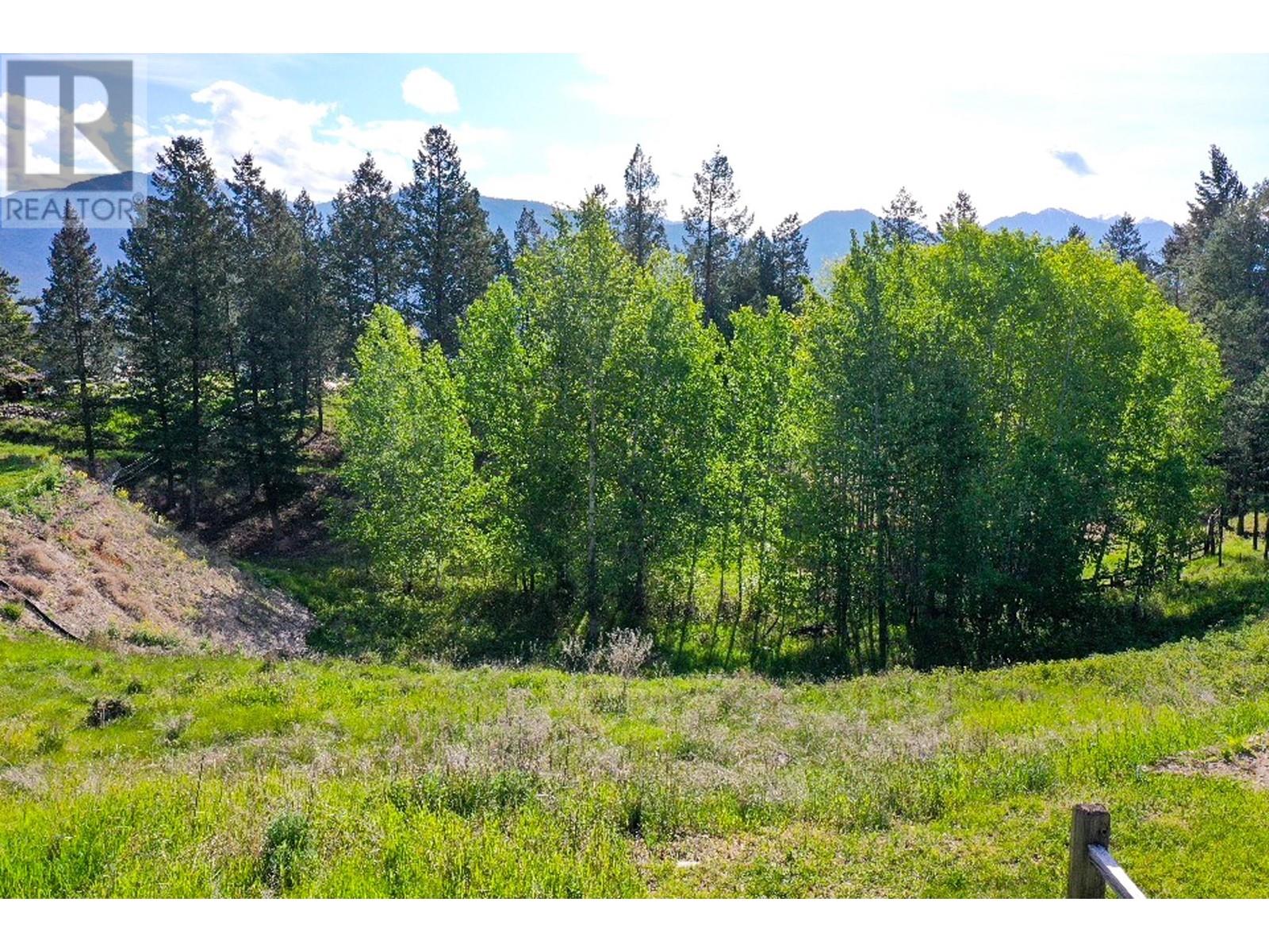 2161 Pinetree Place, Invermere, British Columbia  V0A 1K4 - Photo 3 - 10349356