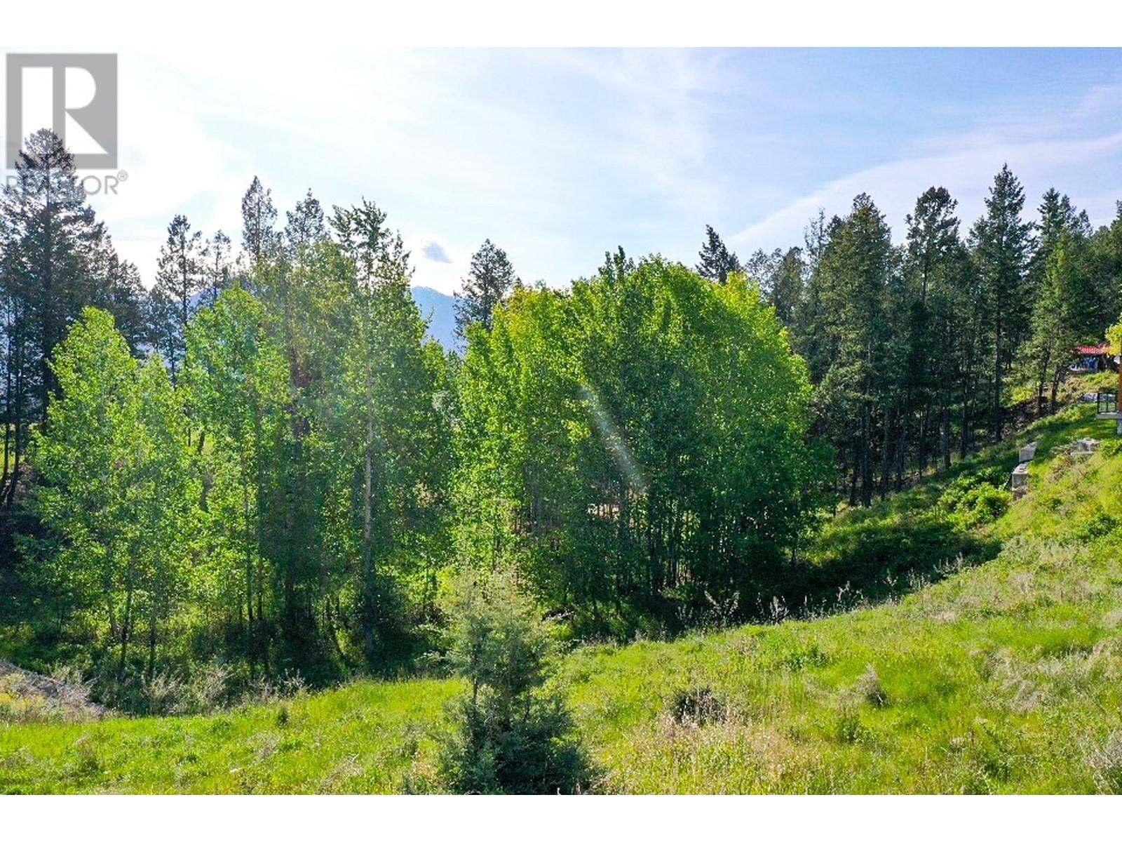 2161 Pinetree Place, Invermere, British Columbia  V0A 1K4 - Photo 6 - 10349356