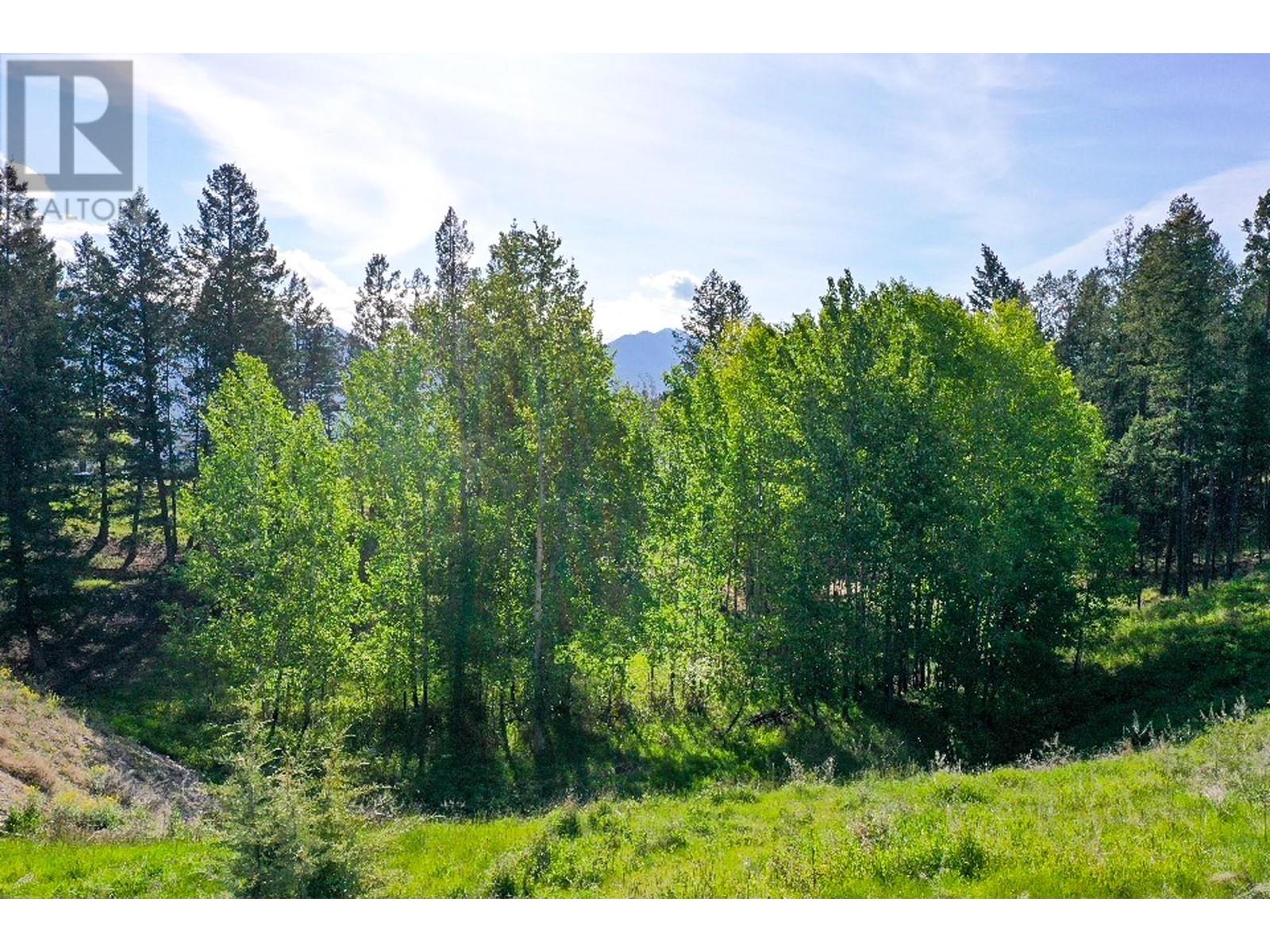 2161 Pinetree Place, Invermere, British Columbia  V0A 1K4 - Photo 8 - 10349356