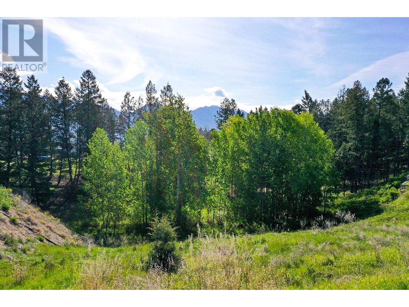 2161 Pinetree Place, Invermere, British Columbia  V0A 1K4 - Photo 9 - 10349356