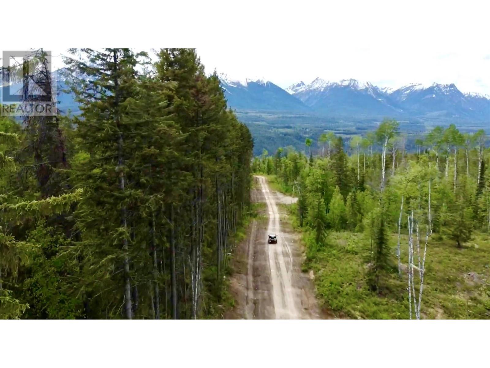 Ls15 Adolph Johnson Road, Golden, British Columbia  V0A 1H0 - Photo 10 - 10350480