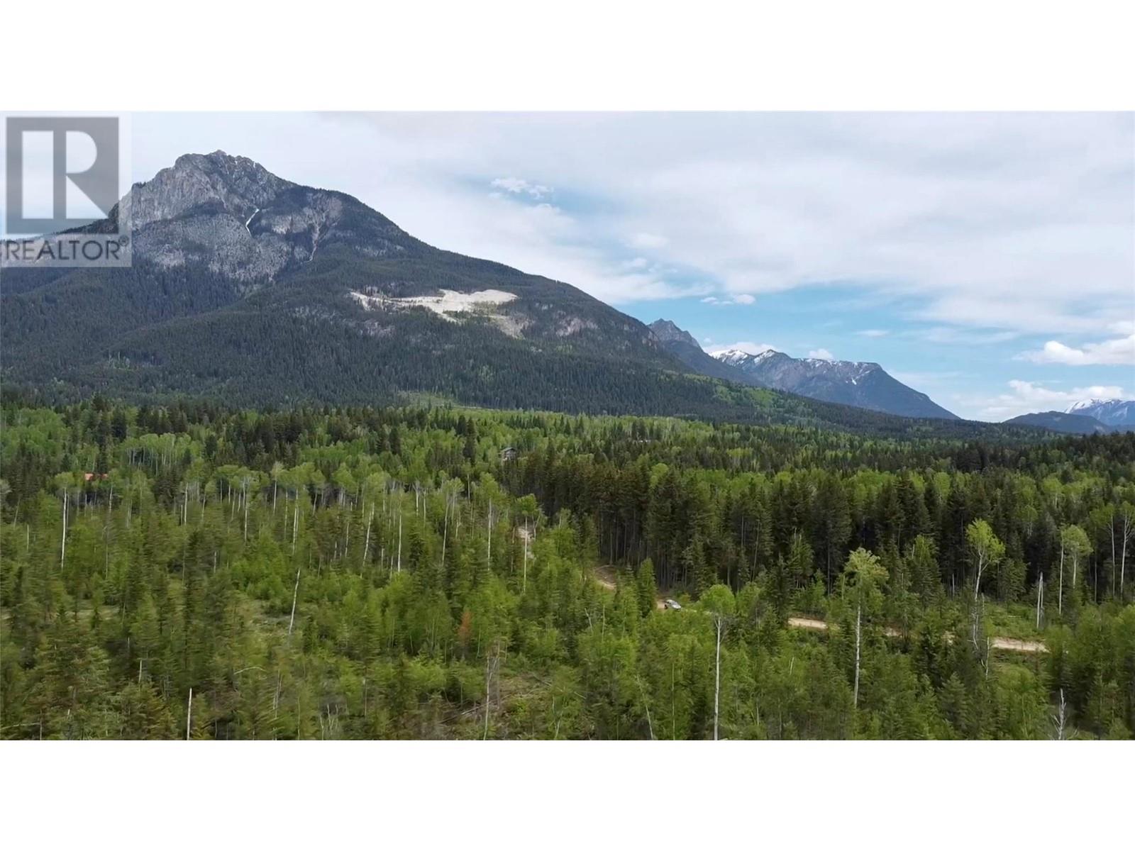 Ls15 Adolph Johnson Road, Golden, British Columbia  V0A 1H0 - Photo 12 - 10350480