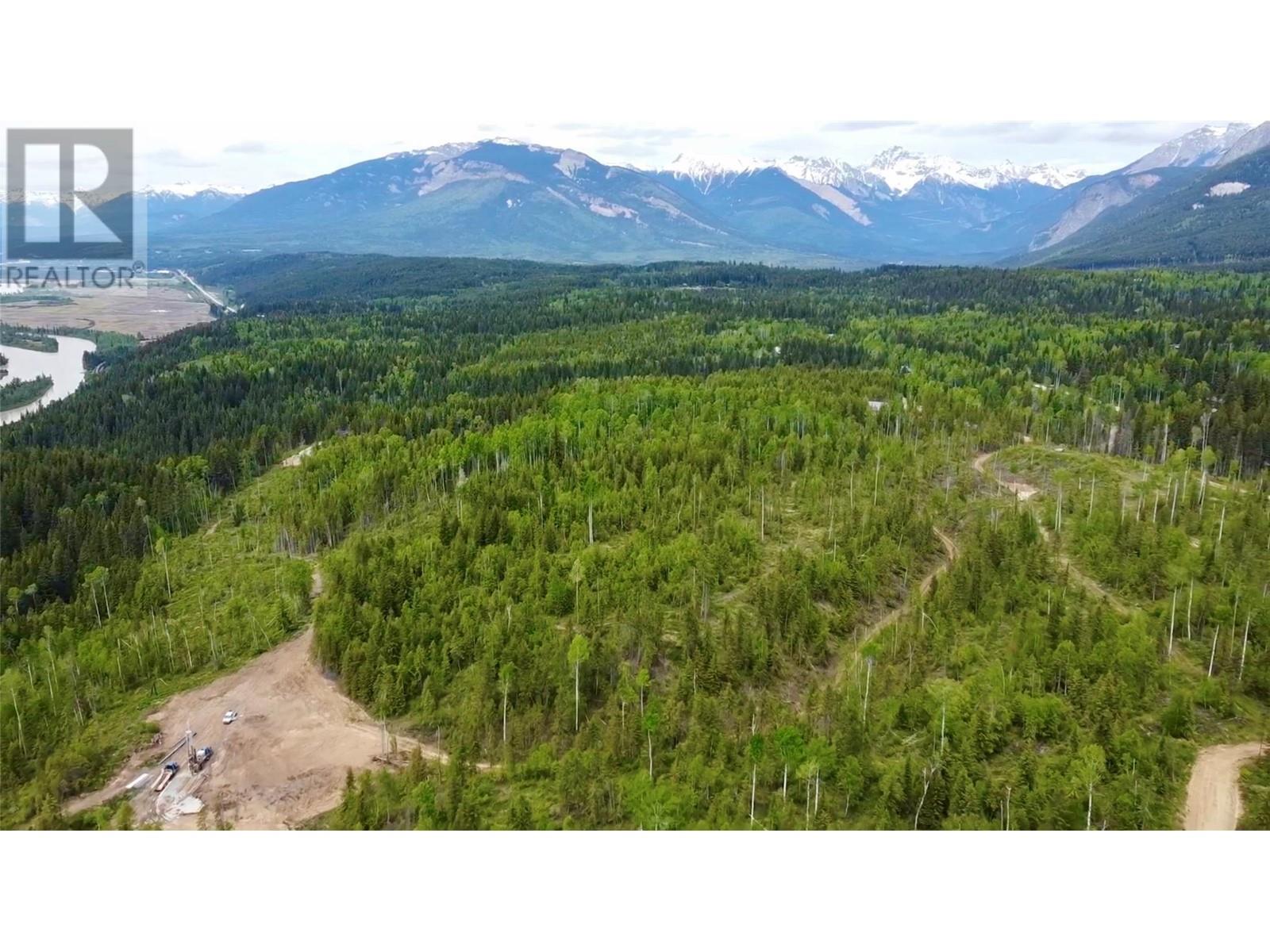 Ls15 Adolph Johnson Road, Golden, British Columbia  V0A 1H0 - Photo 5 - 10350480