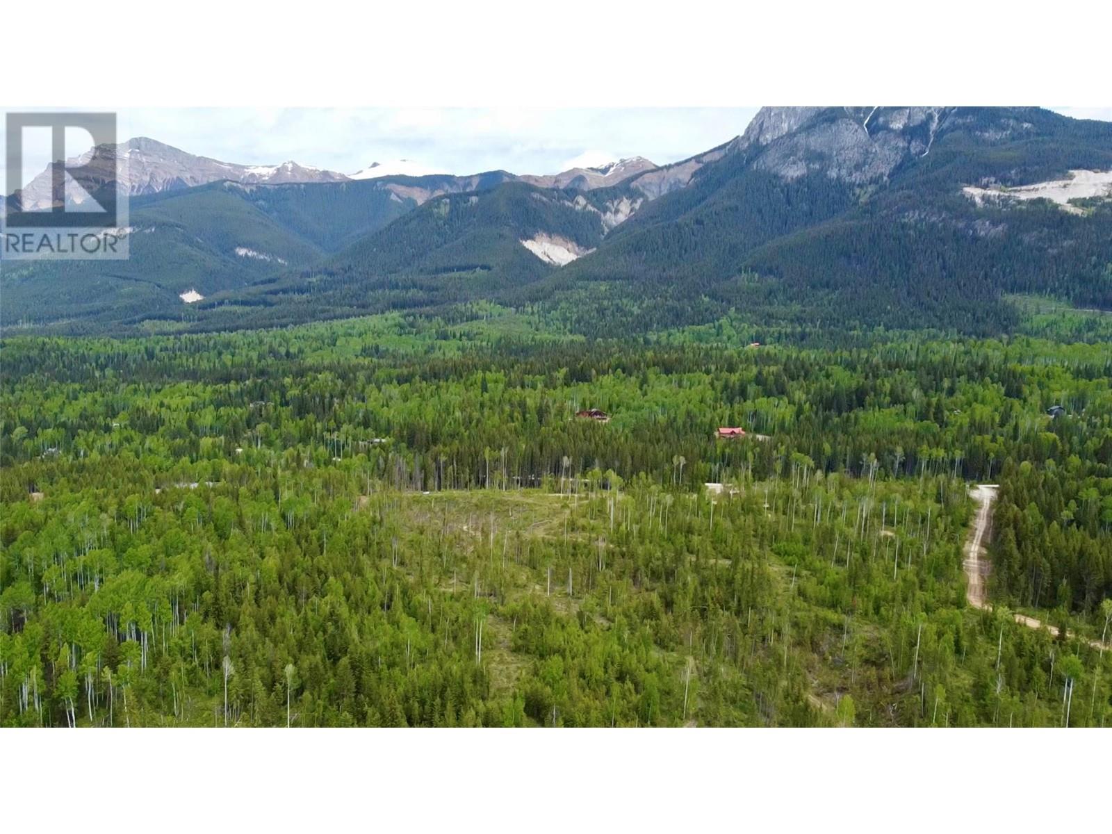Lot 1 Adolph Johnson Road, Golden, British Columbia  V0A 1H0 - Photo 10 - 10350534