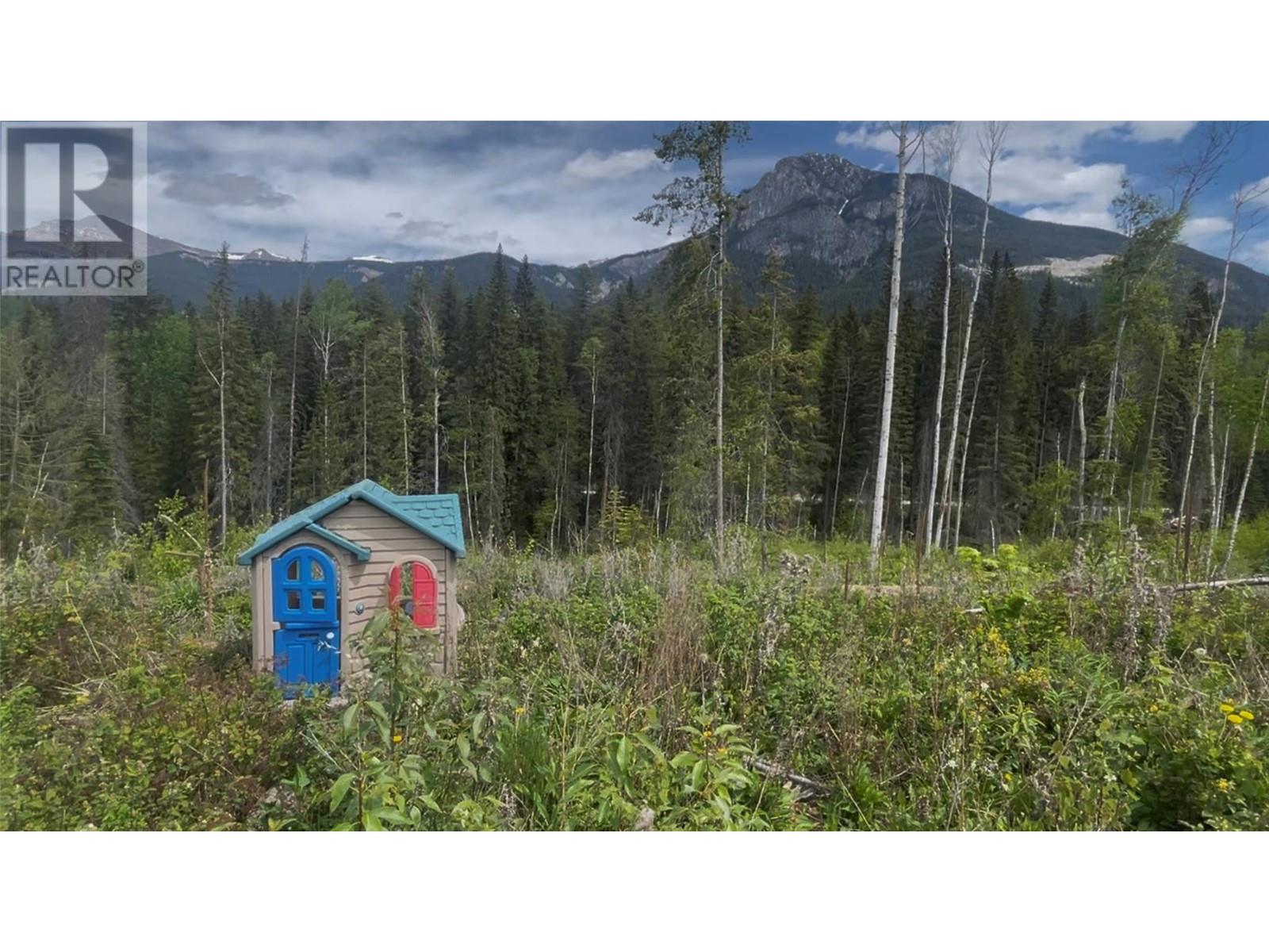 Lot 1 Adolph Johnson Road, Golden, British Columbia  V0A 1H0 - Photo 11 - 10350534