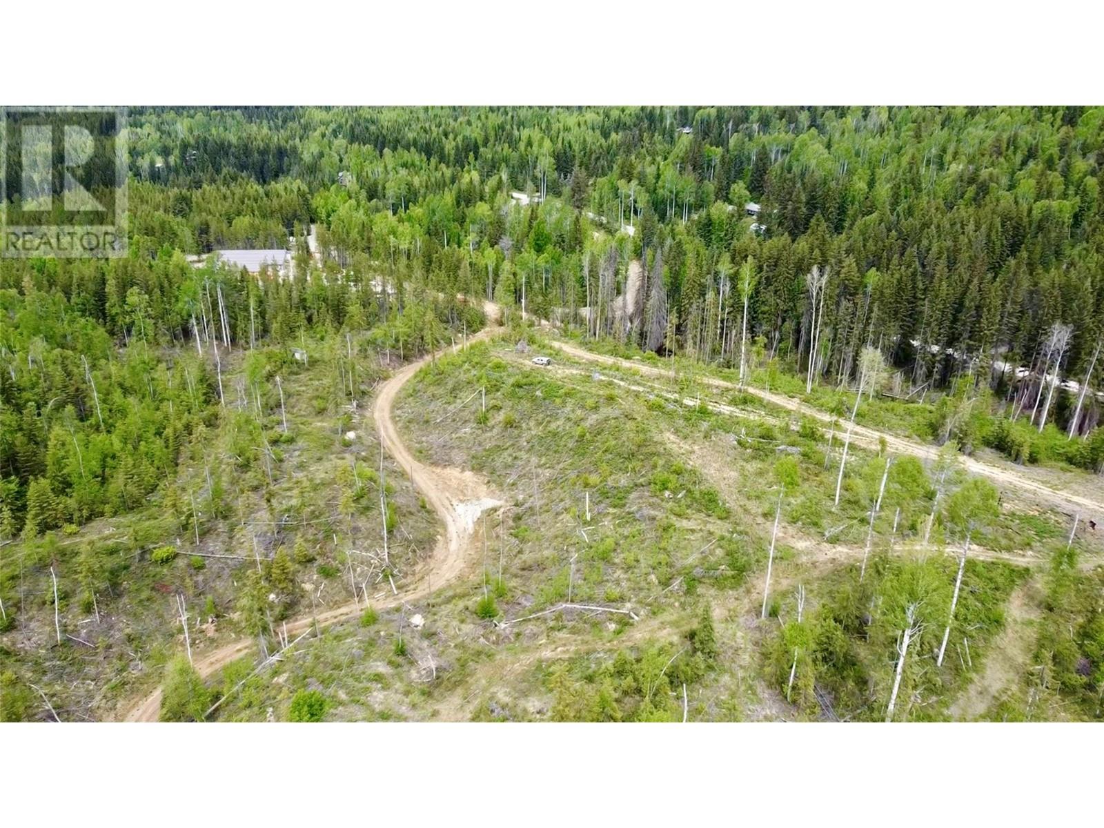 Lot 1 Adolph Johnson Road, Golden, British Columbia  V0A 1H0 - Photo 14 - 10350534