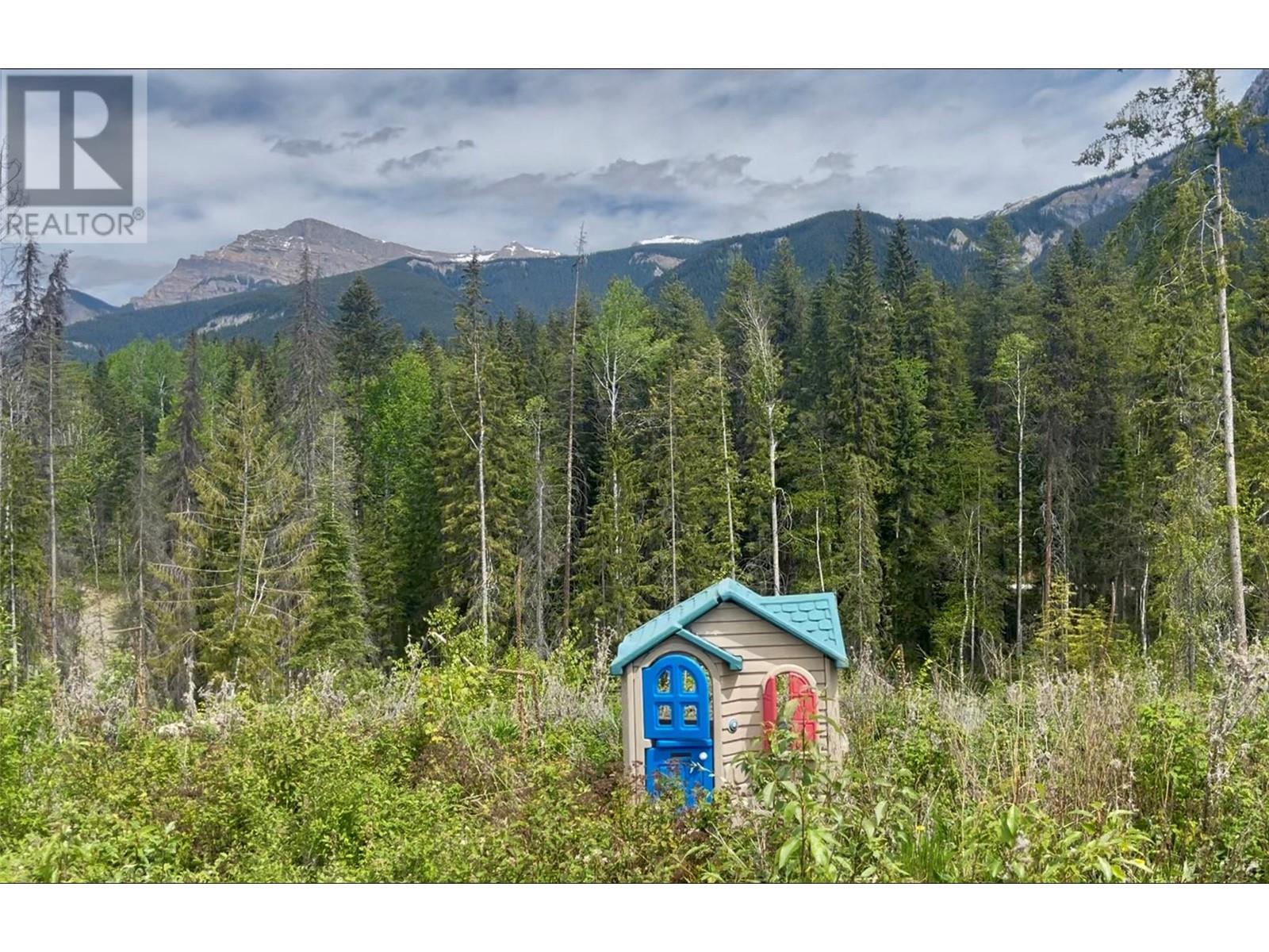Lot 1 Adolph Johnson Road, Golden, British Columbia  V0A 1H0 - Photo 3 - 10350534