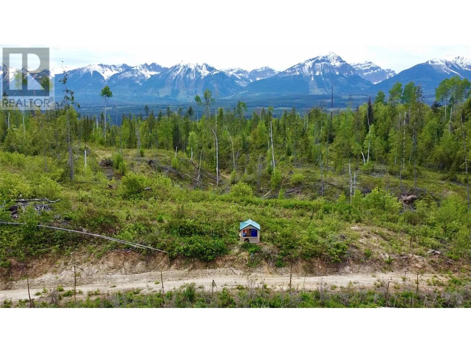 Lot 1 Adolph Johnson Road, Golden, British Columbia  V0A 1H0 - Photo 4 - 10350534