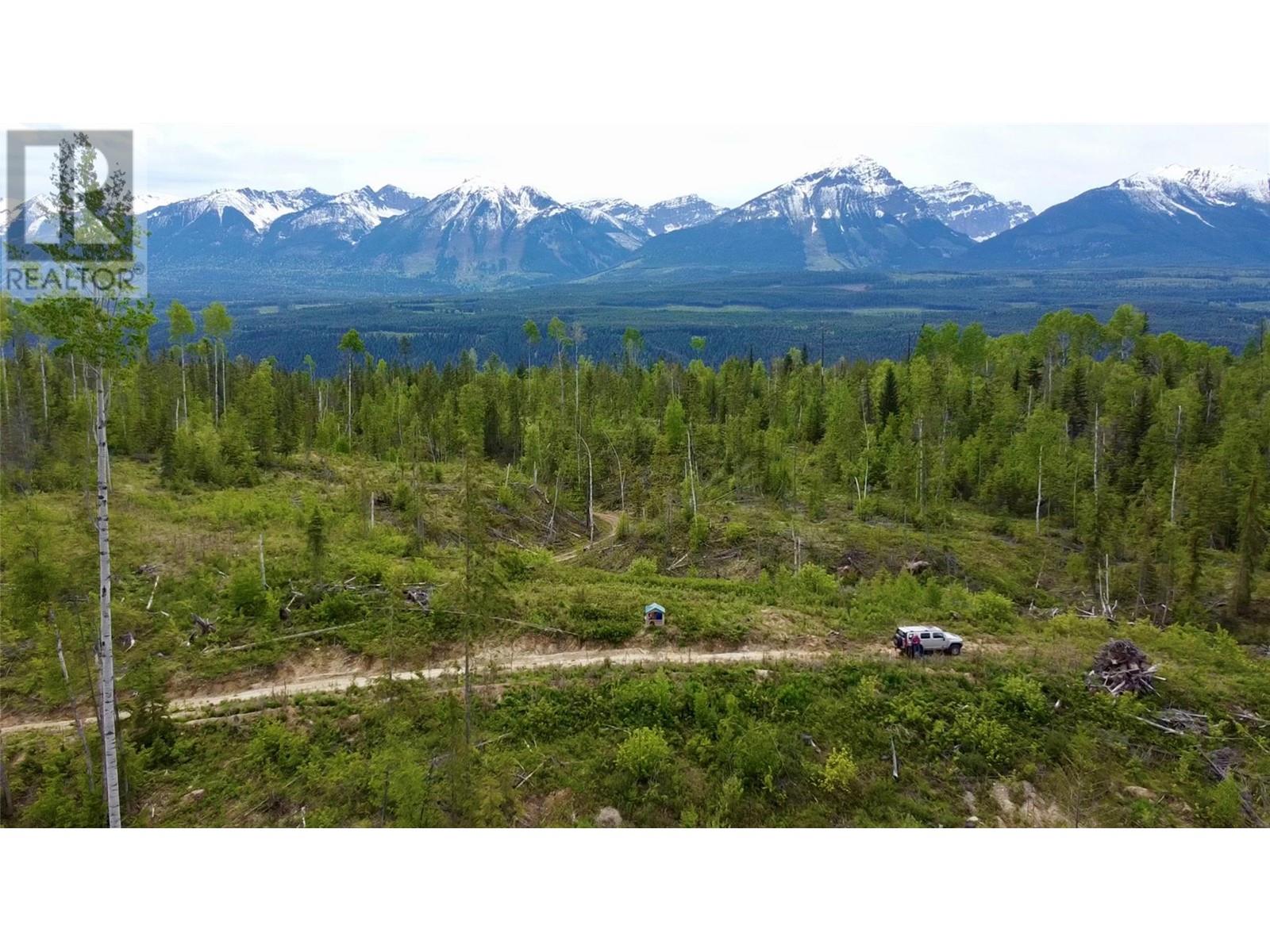 Lot 1 Adolph Johnson Road, Golden, British Columbia  V0A 1H0 - Photo 5 - 10350534