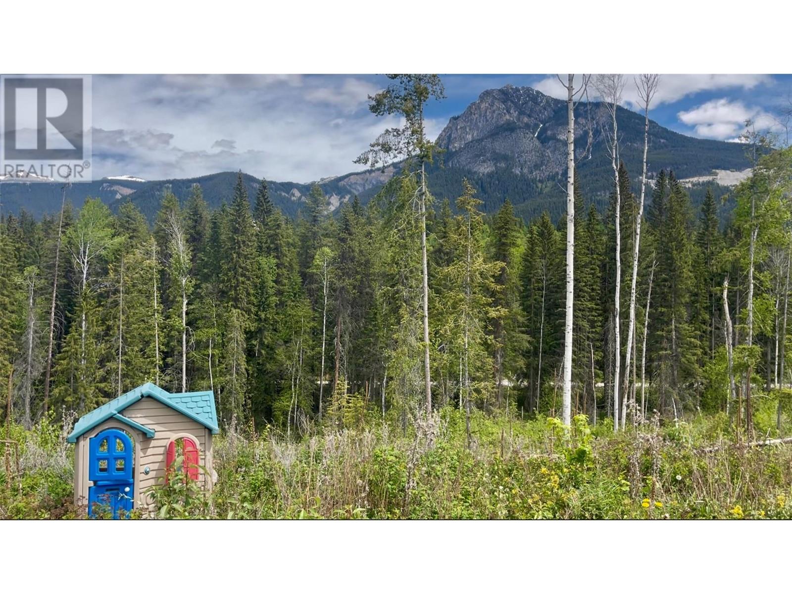 Lot 1 Adolph Johnson Road, Golden, British Columbia  V0A 1H0 - Photo 6 - 10350534