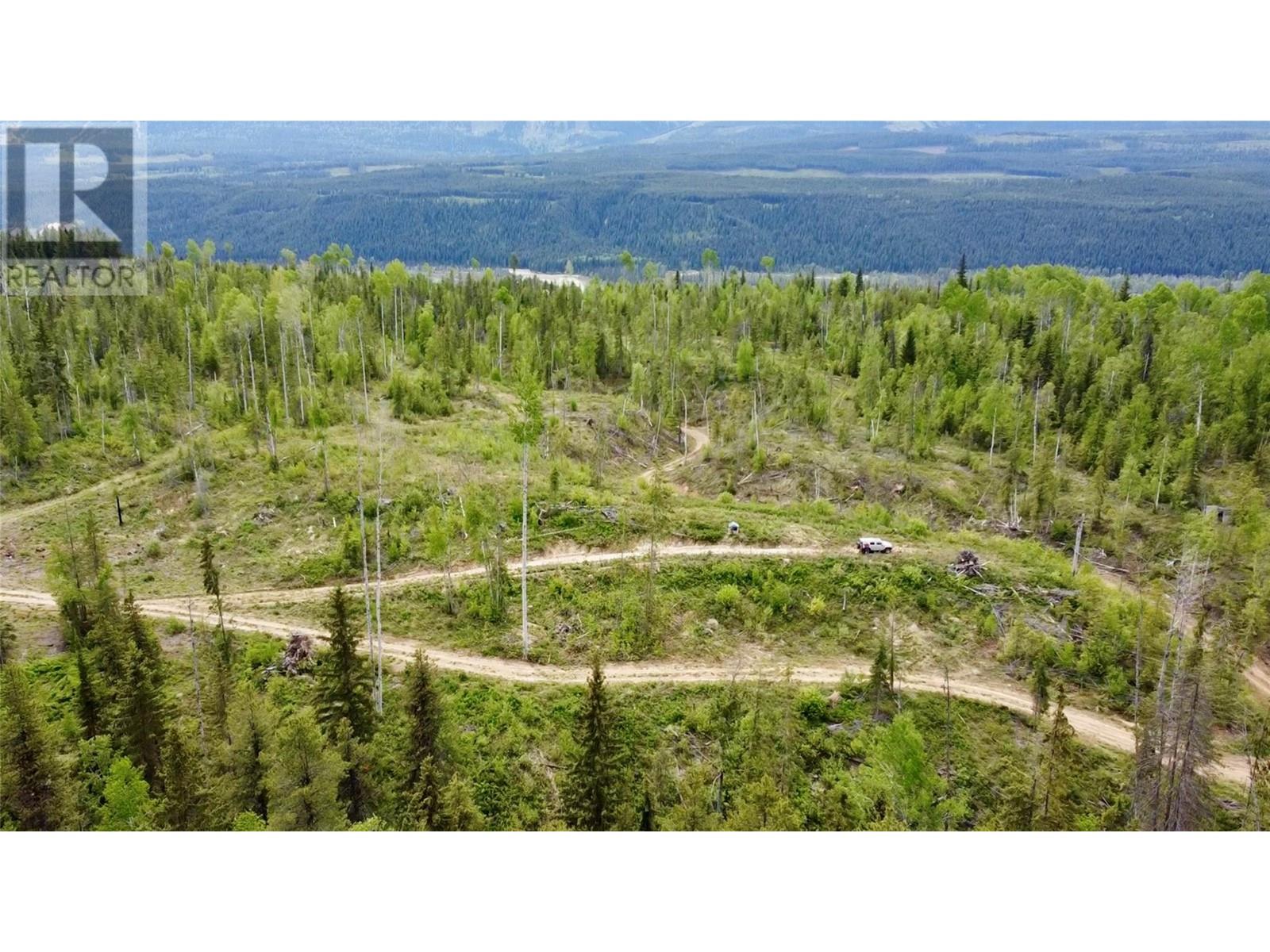 Lot 1 Adolph Johnson Road, Golden, British Columbia  V0A 1H0 - Photo 7 - 10350534
