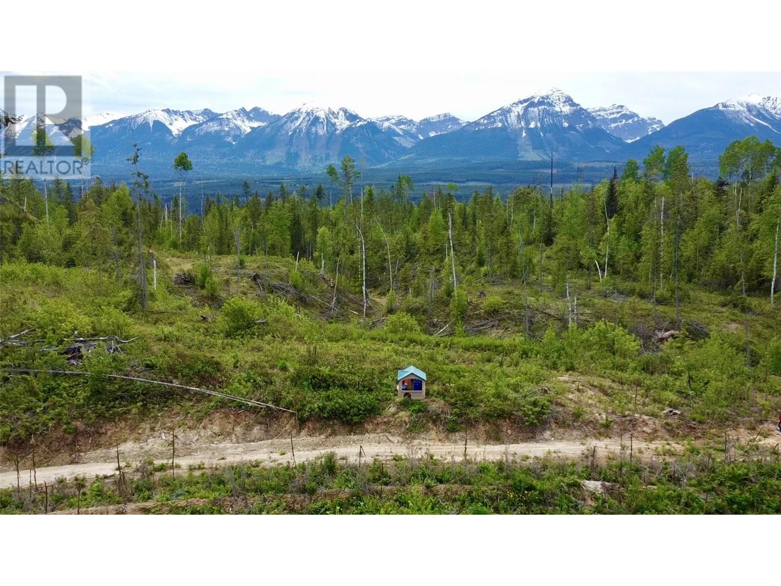 Lot 1 Adolph Johnson Road, Golden, British Columbia  V0A 1H0 - Photo 8 - 10350534