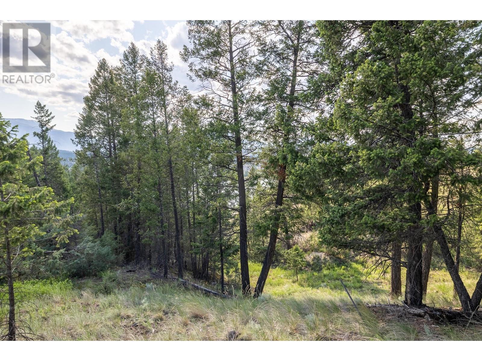 Lot 46 Upper Lakeview Road, Invermere, British Columbia  V0A 1K3 - Photo 11 - 10350960