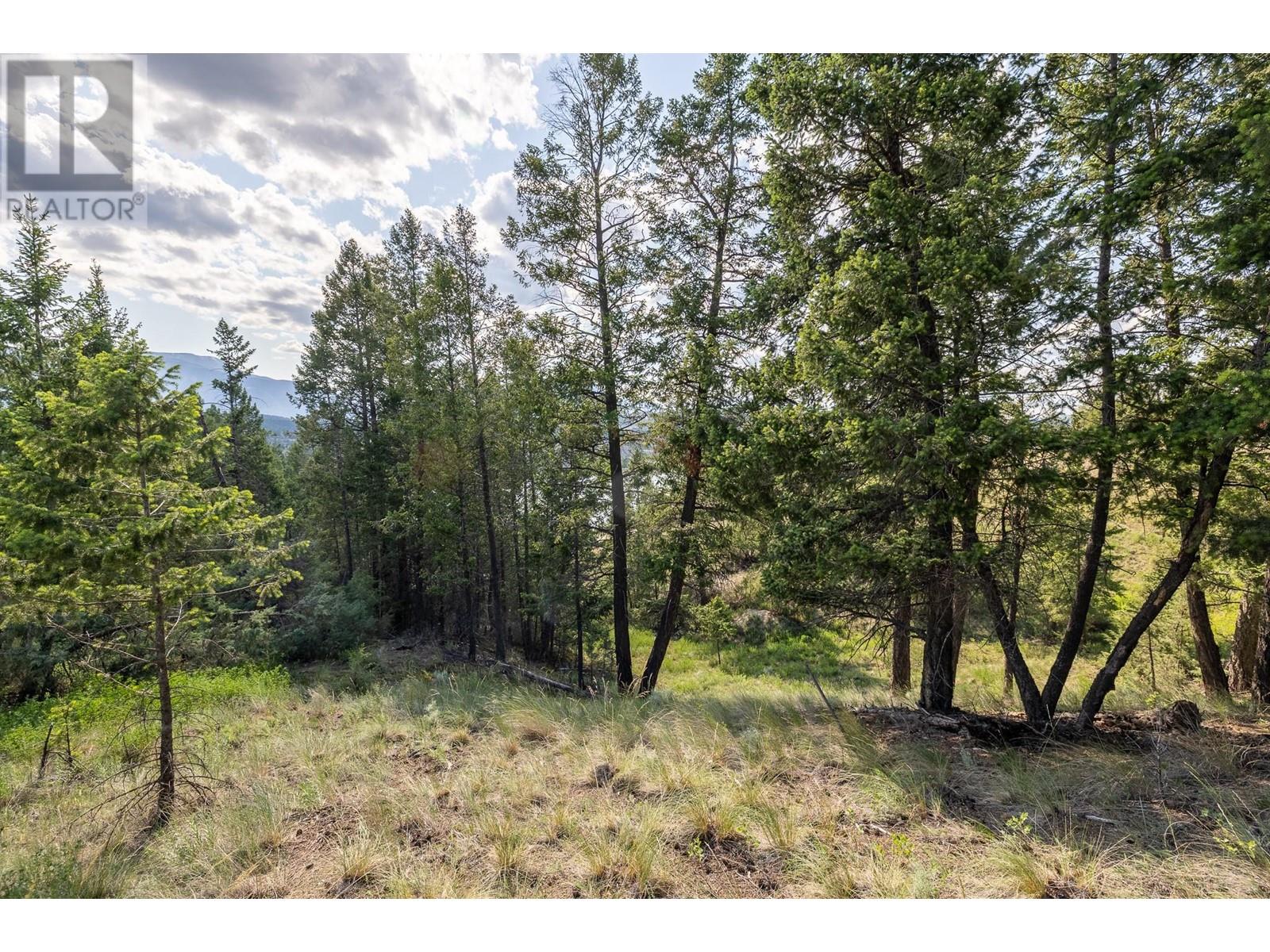 Lot 46 Upper Lakeview Road, Invermere, British Columbia  V0A 1K3 - Photo 12 - 10350960