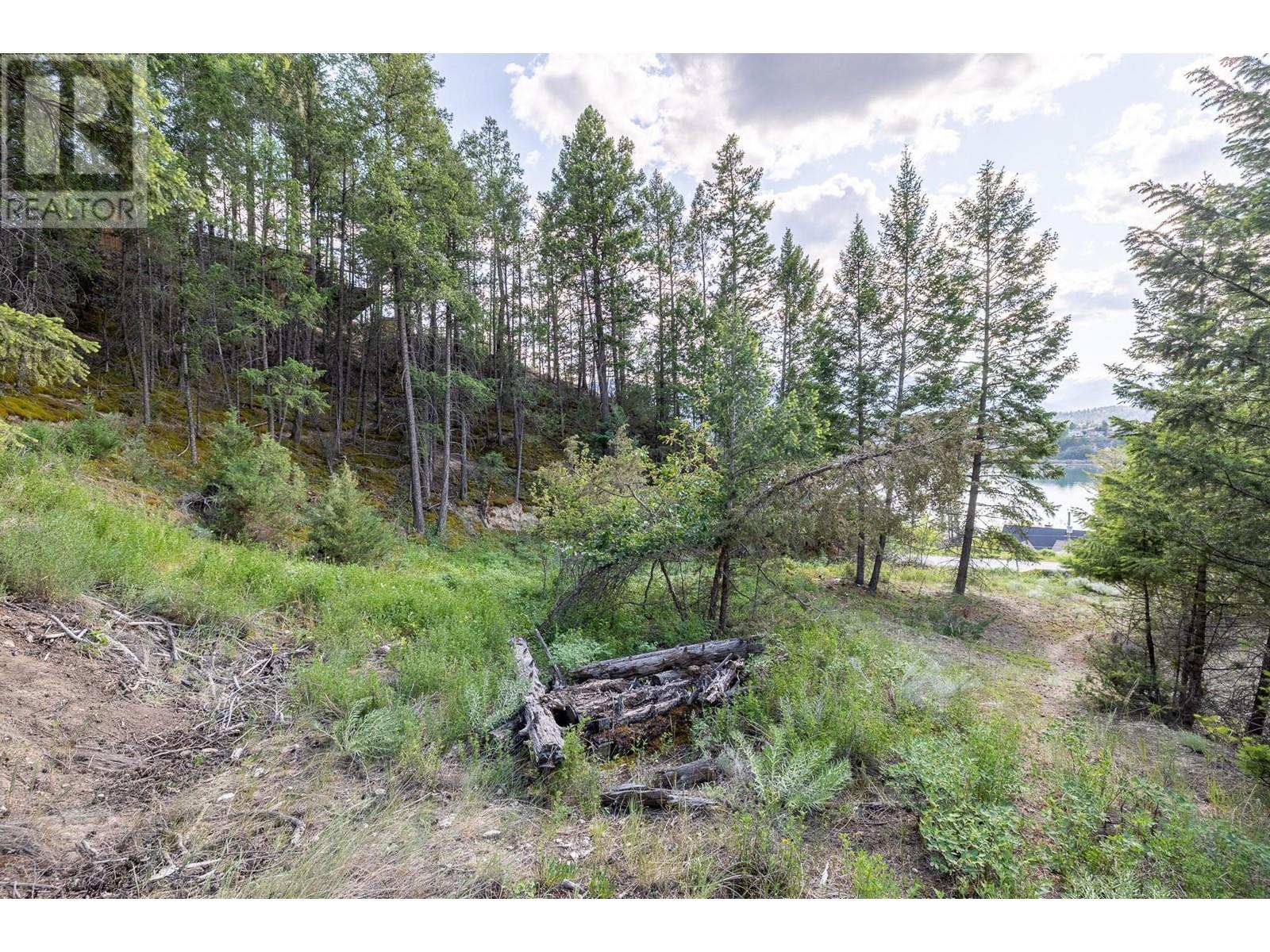 Lot 46 Upper Lakeview Road, Invermere, British Columbia  V0A 1K3 - Photo 5 - 10350960