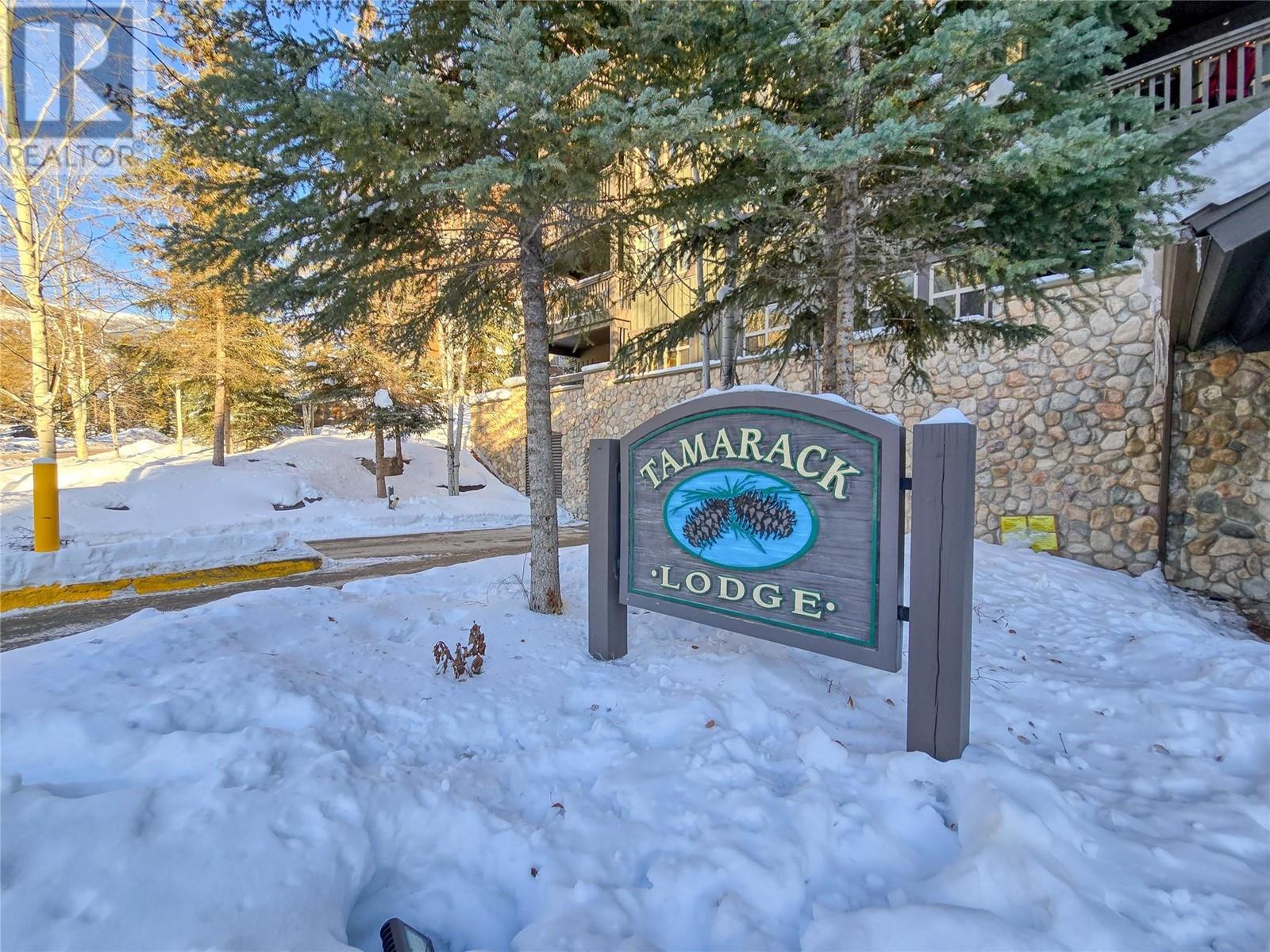 2060 Summit Drive Unit# 406, Panorama, British Columbia  V0A 1T0 - Photo 7 - 10350644