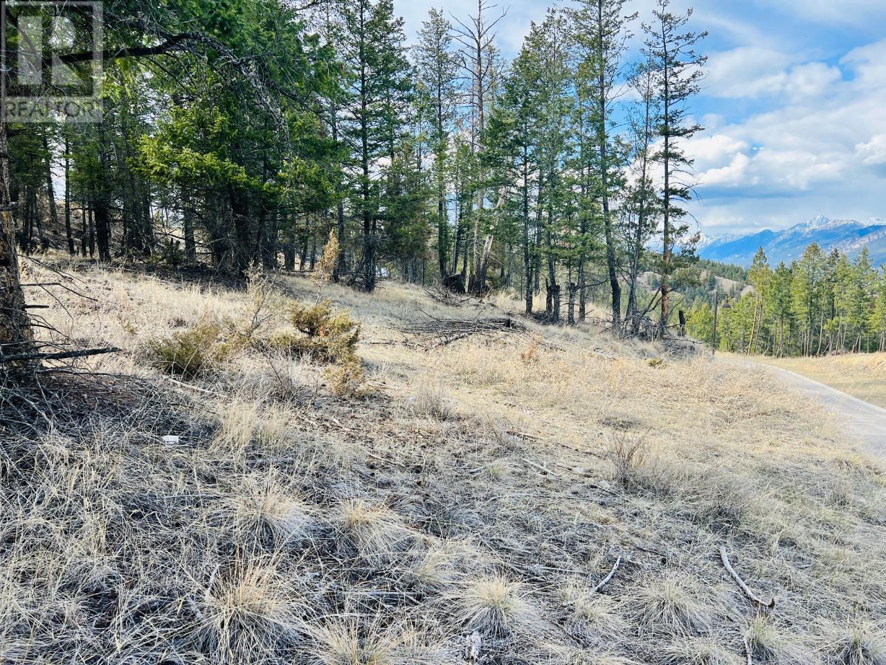 Lot 48 Pine Ridge Mountain Lane, Invermere, British Columbia  V0A 1K4 - Photo 10 - 10351992