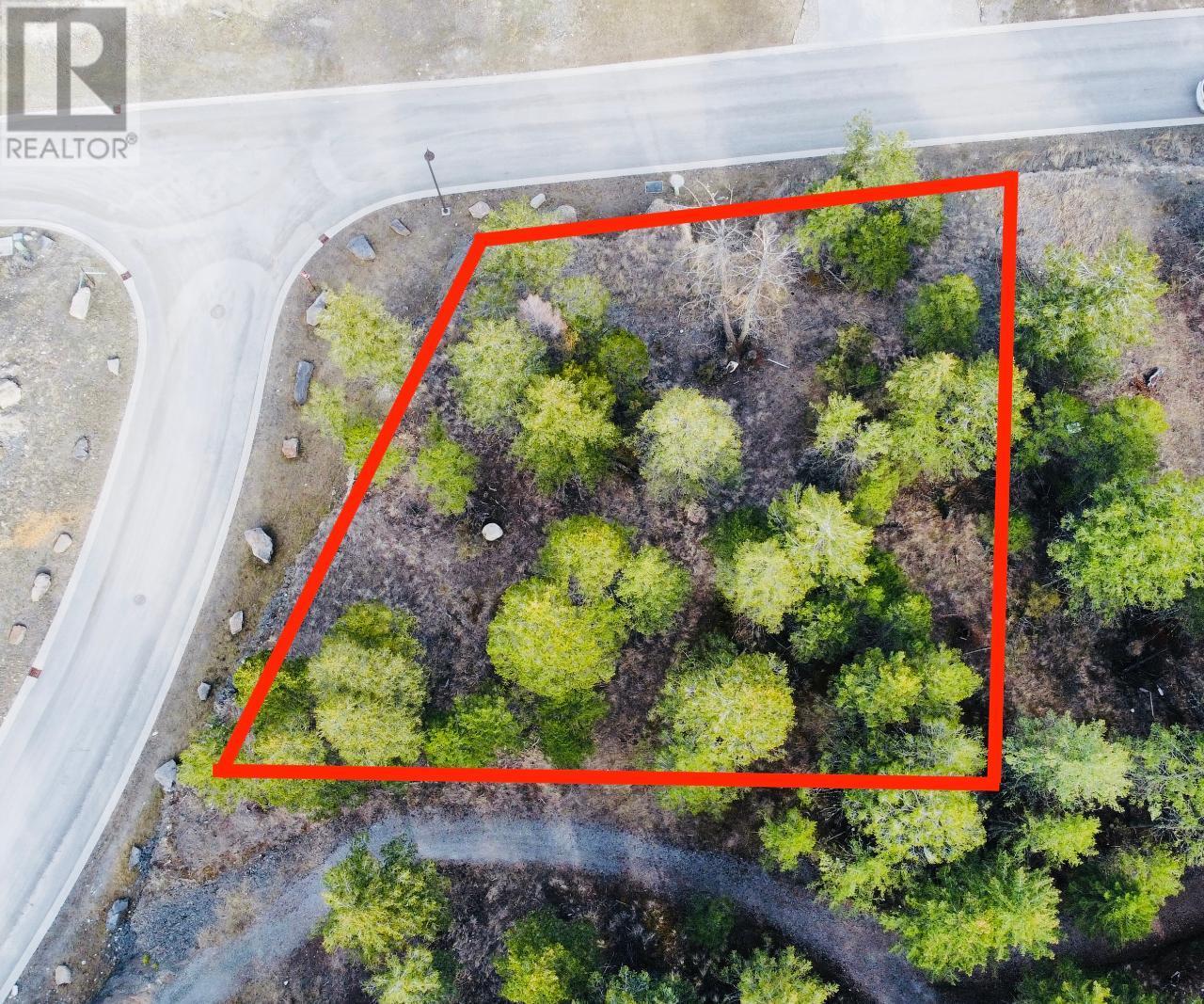 Lot 48 Pine Ridge Mountain Lane, Invermere, British Columbia  V0A 1K4 - Photo 2 - 10351992