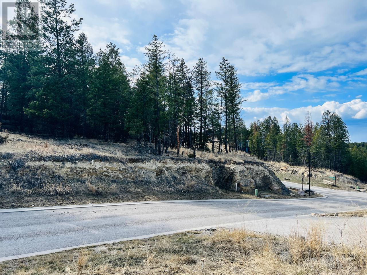 Lot 48 Pine Ridge Mountain Lane, Invermere, British Columbia  V0A 1K4 - Photo 9 - 10351992