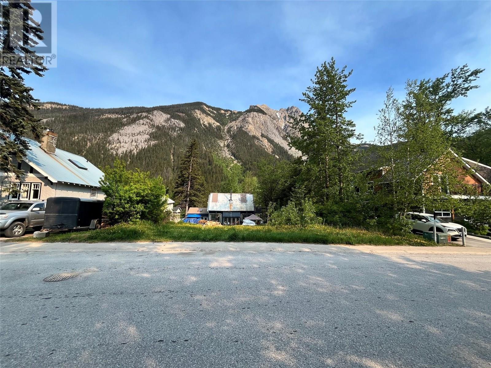 209 Kicking Horse Avenue, Field, British Columbia  V0A 0A4 - Photo 2 - 10351151