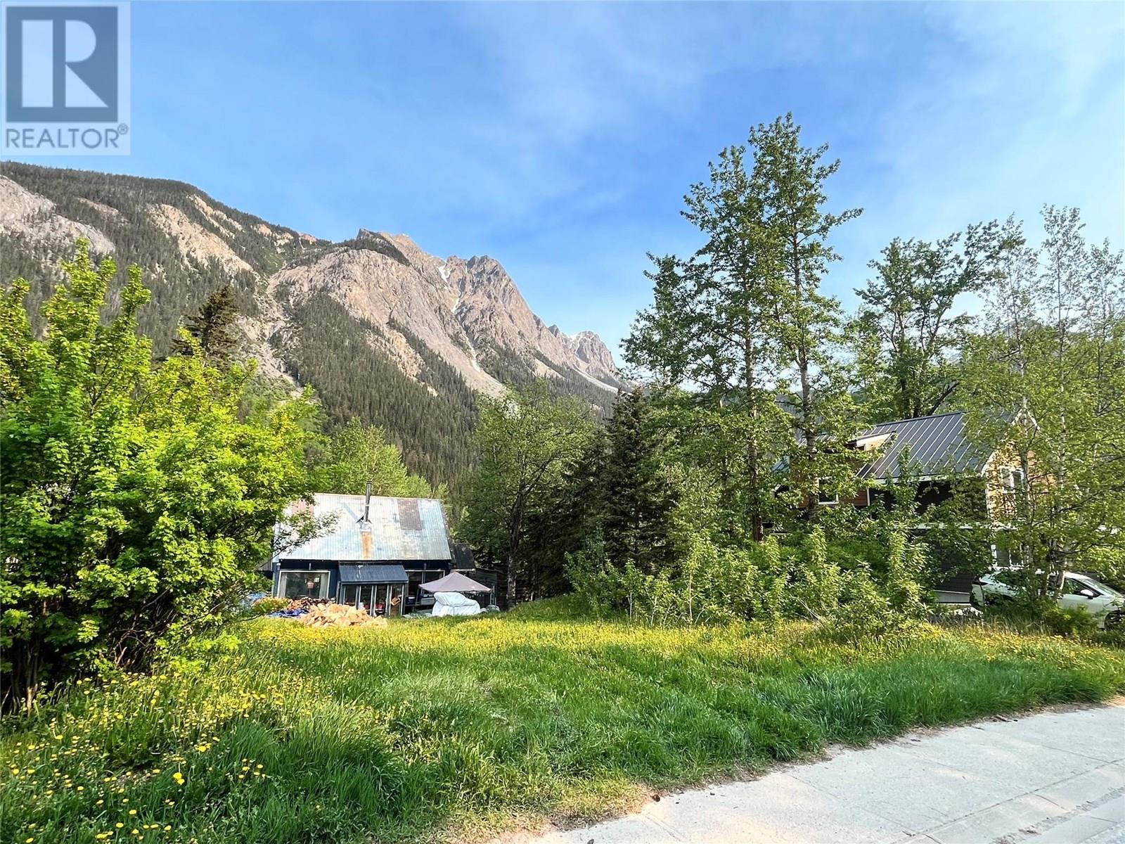 209 Kicking Horse Avenue, Field, British Columbia  V0A 0A4 - Photo 3 - 10351151