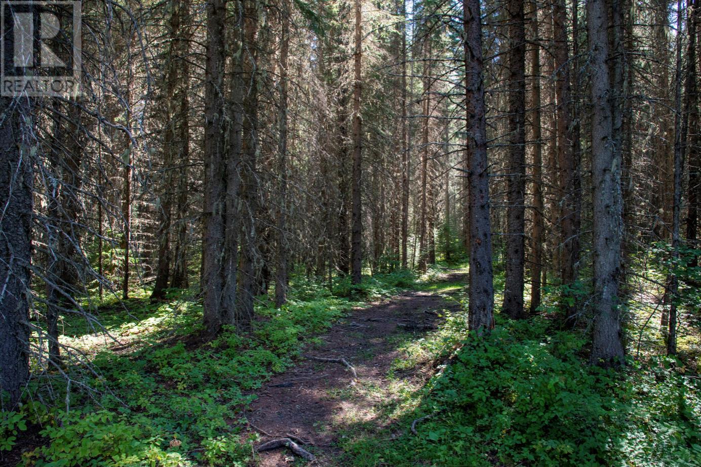 4227-4233 Beaverfoot Forest Service Road, Golden, British Columbia  V0A 1H0 - Photo 2 - 10352039