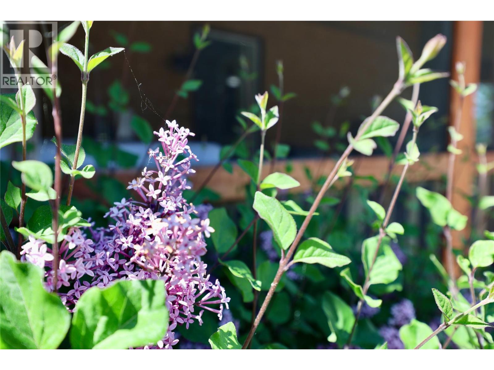 3049 95 Highway, Golden, British Columbia  V0A 1H2 - Photo 41 - 10351788