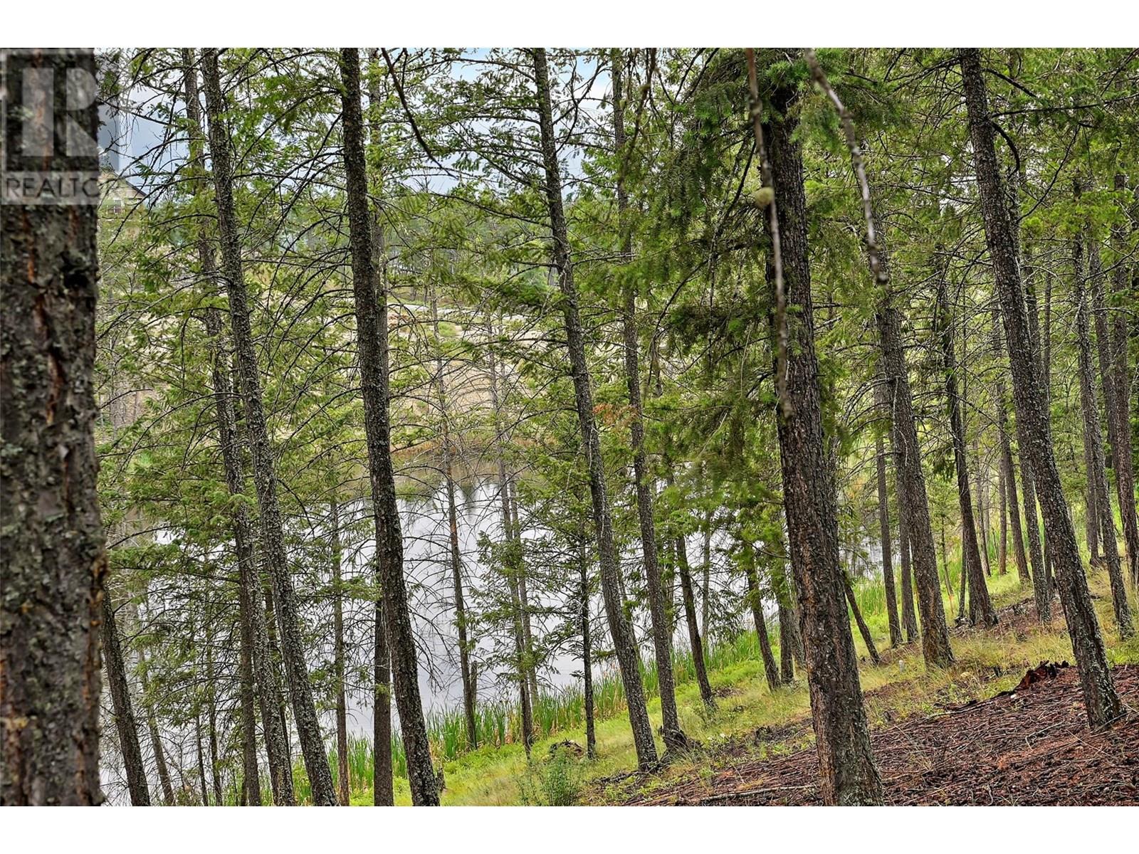 2522 Cobblestone Trail, Invermere, British Columbia  V0A 1K6 - Photo 53 - 10351410