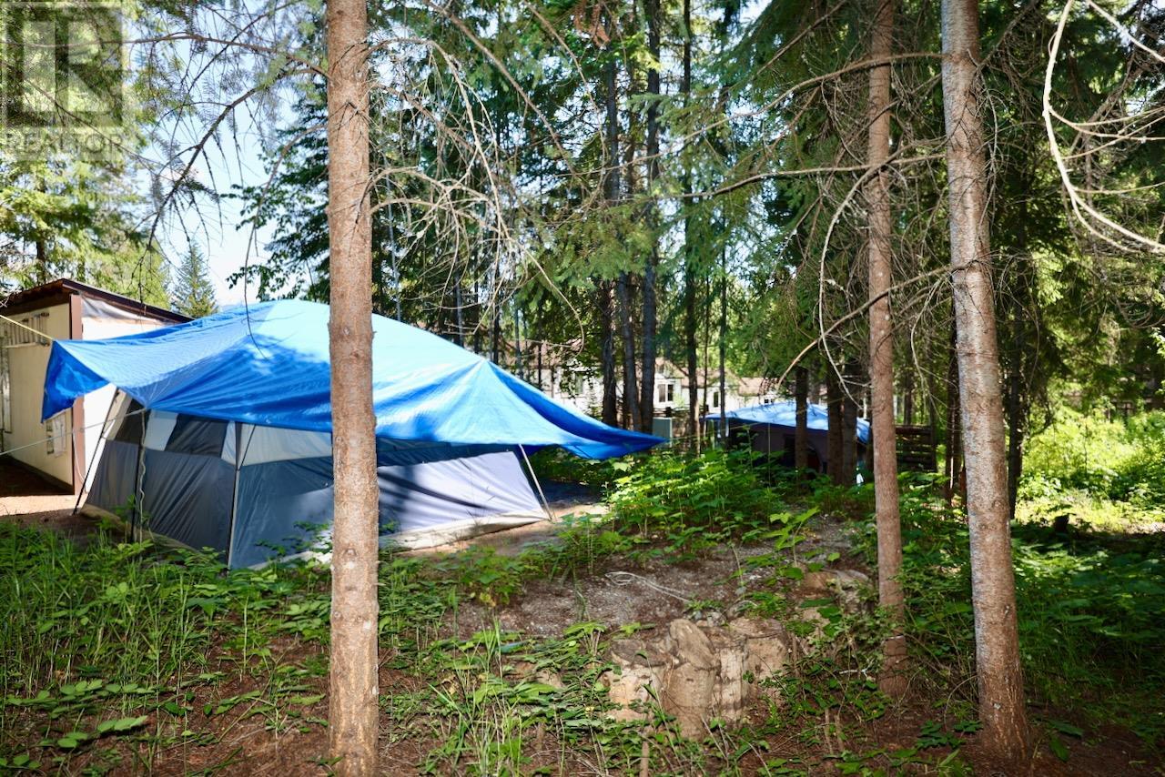 2383 Forde Station Road, Golden, British Columbia  V0A 1H0 - Photo 21 - 10352792