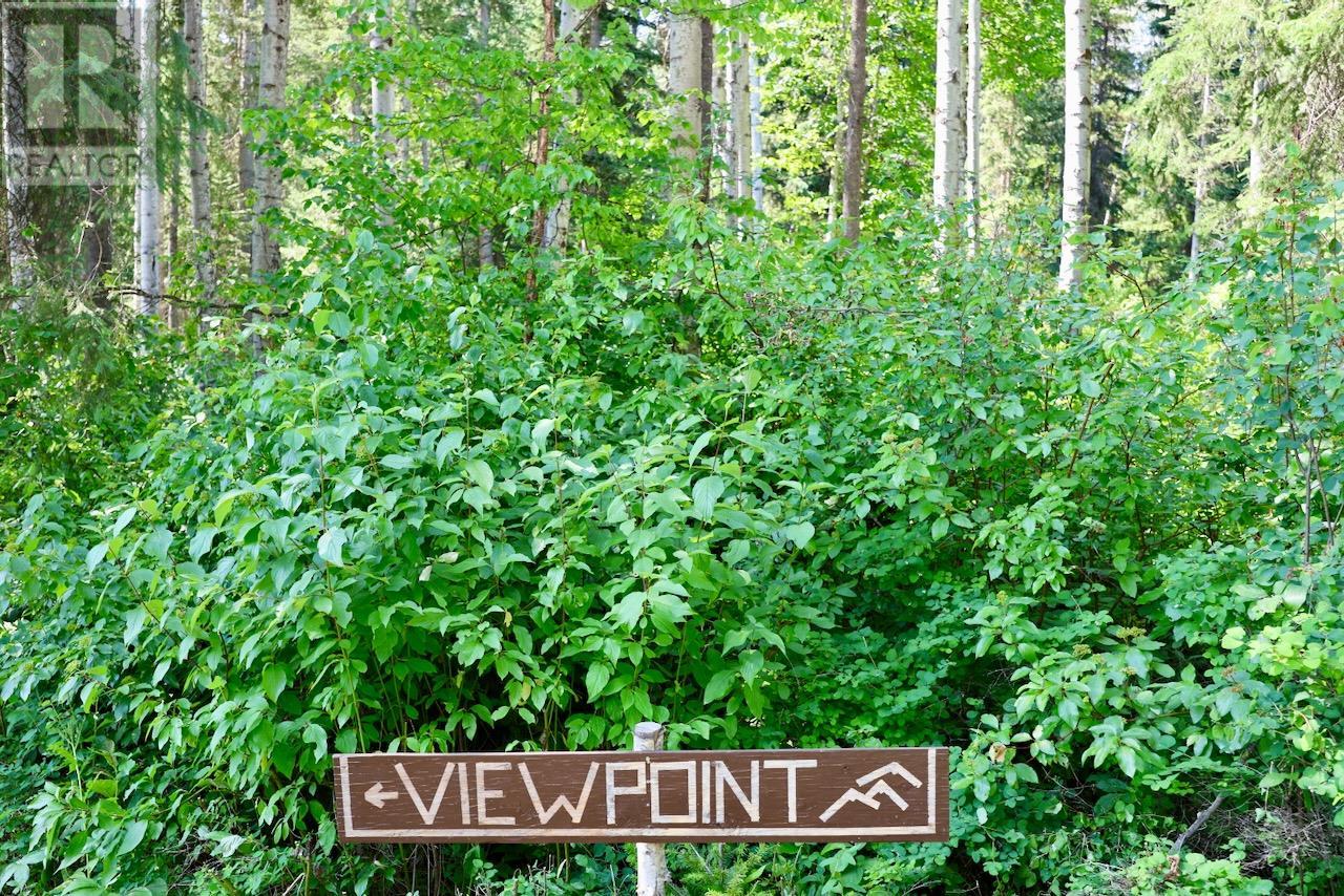2383 Forde Station Road, Golden, British Columbia  V0A 1H0 - Photo 41 - 10352792