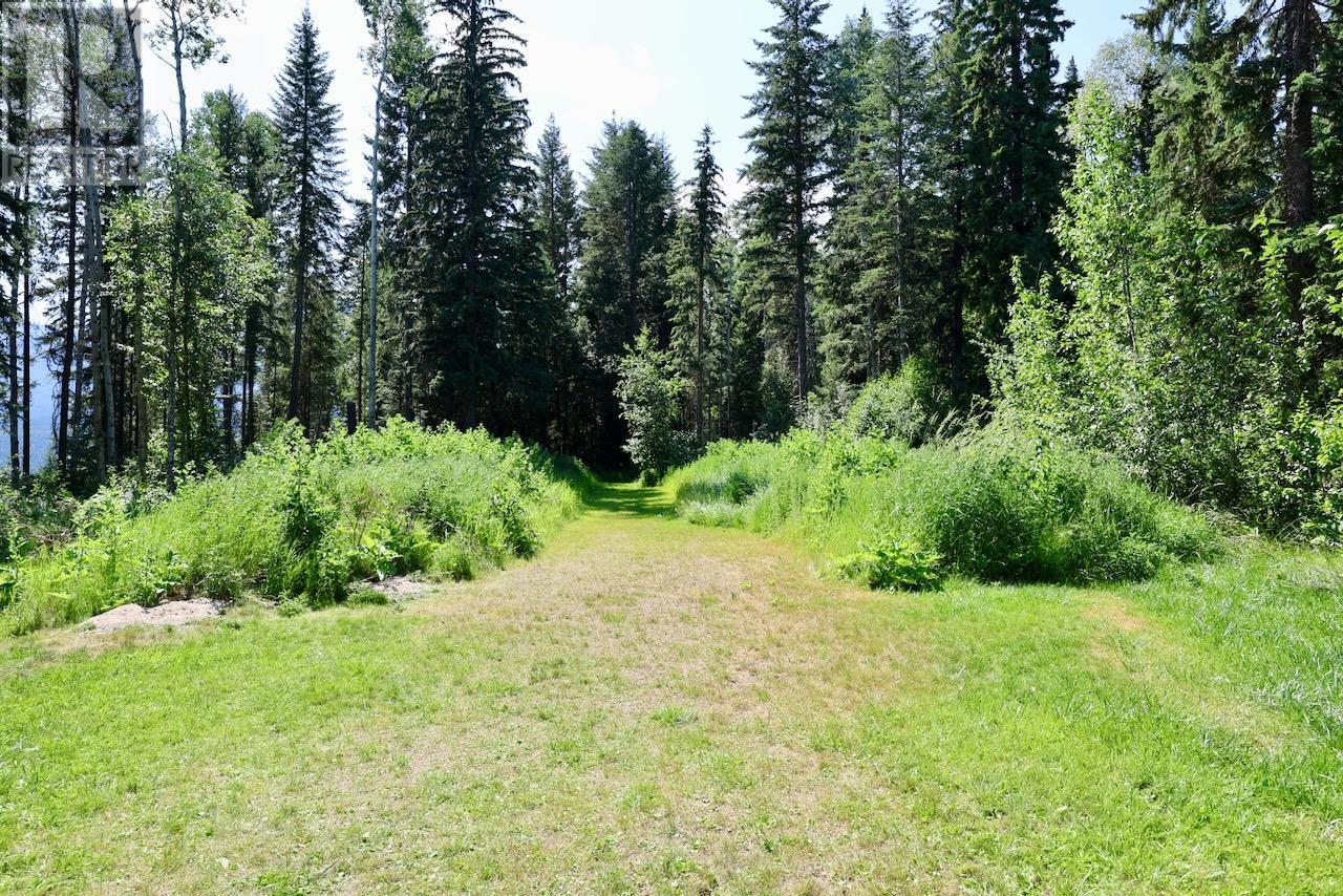 2383 Forde Station Road, Golden, British Columbia  V0A 1H0 - Photo 55 - 10352792