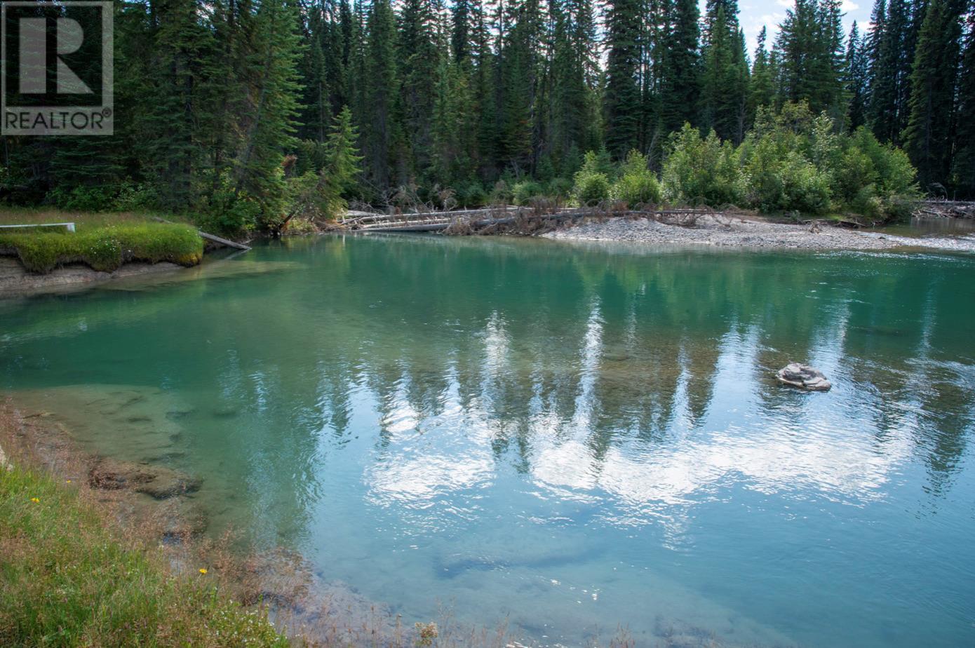 4227-4233 Beaverfoot Forest Service Road, Golden, British Columbia  V0A 1H0 - Photo 20 - 10352952