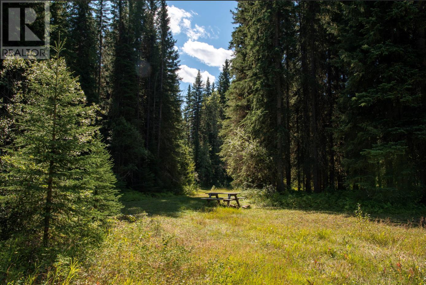 4227-4233 Beaverfoot Forest Service Road, Golden, British Columbia  V0A 1H0 - Photo 21 - 10352952