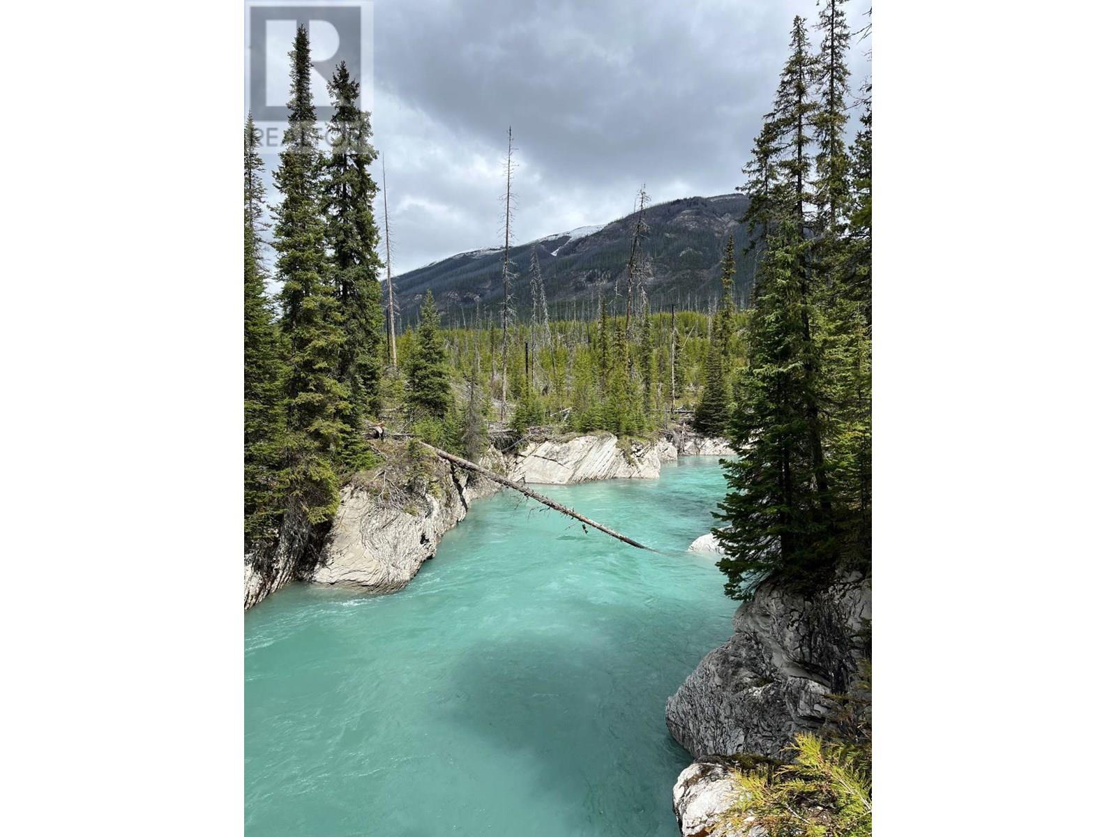 9500 Highway 93 S, Spillimacheen, British Columbia  V0A 1M0 - Photo 21 - 10353441