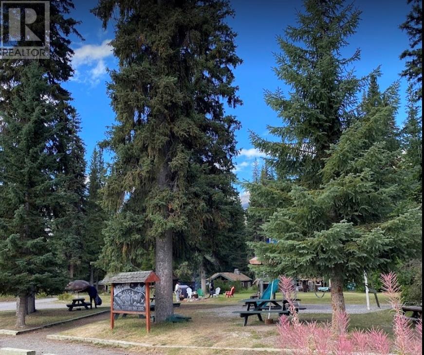 9500 Highway 93 S, Spillimacheen, British Columbia  V0A 1M0 - Photo 6 - 10353441