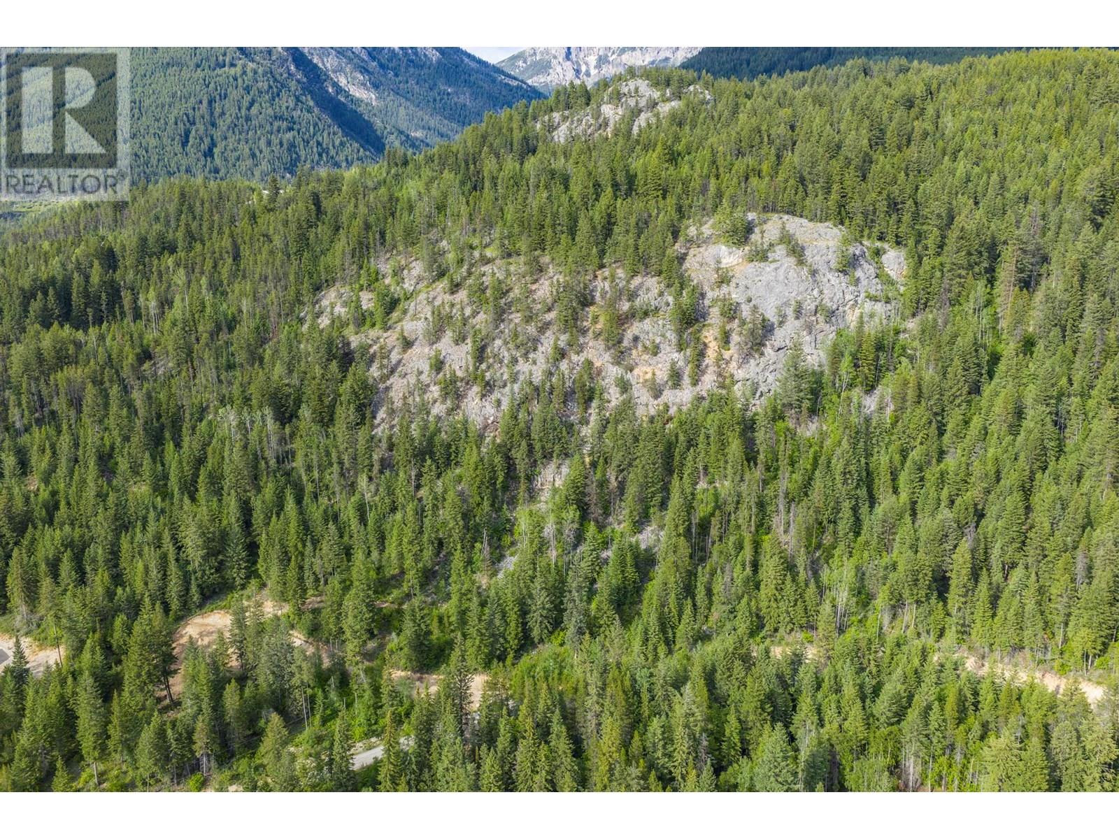 Lot 31 Cougar Drive, Golden, British Columbia  V0A 1H2 - Photo 11 - 10354270