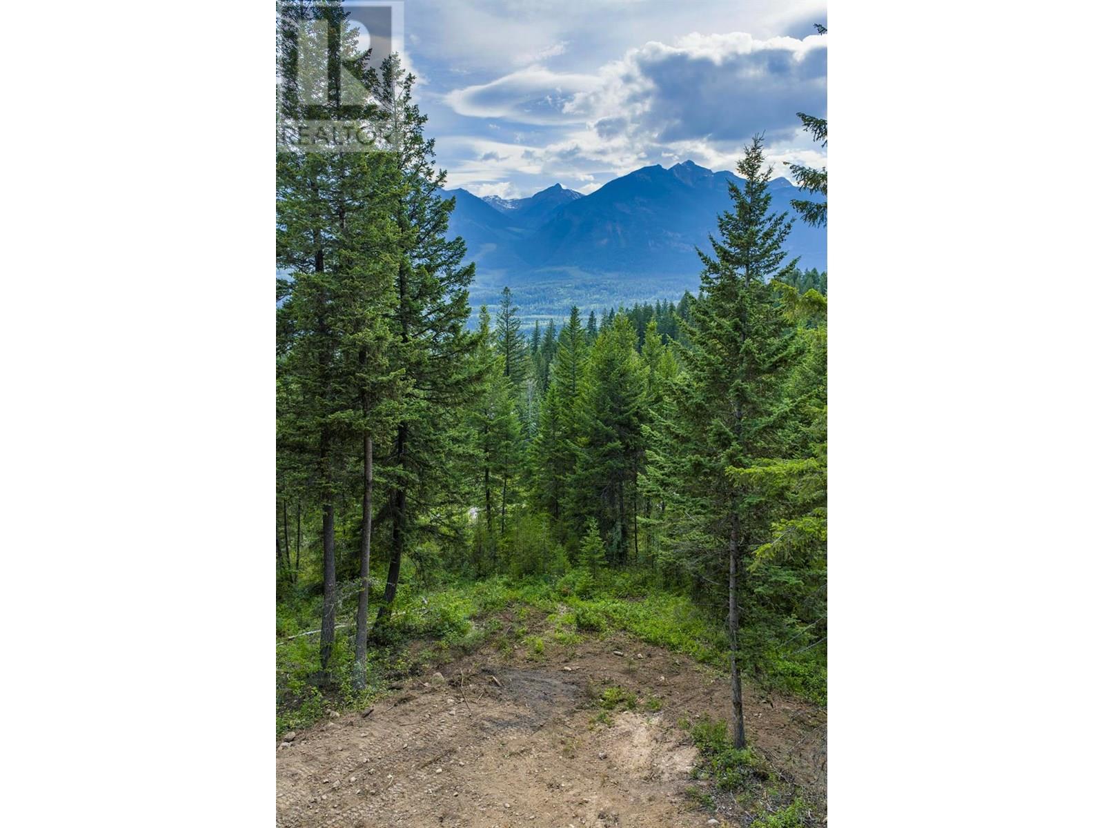 Lot 31 Cougar Drive, Golden, British Columbia  V0A 1H2 - Photo 19 - 10354270