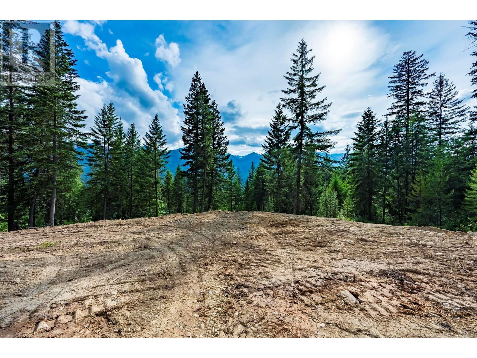 Lot 31 Cougar Drive, Golden, British Columbia  V0A 1H2 - Photo 4 - 10354270