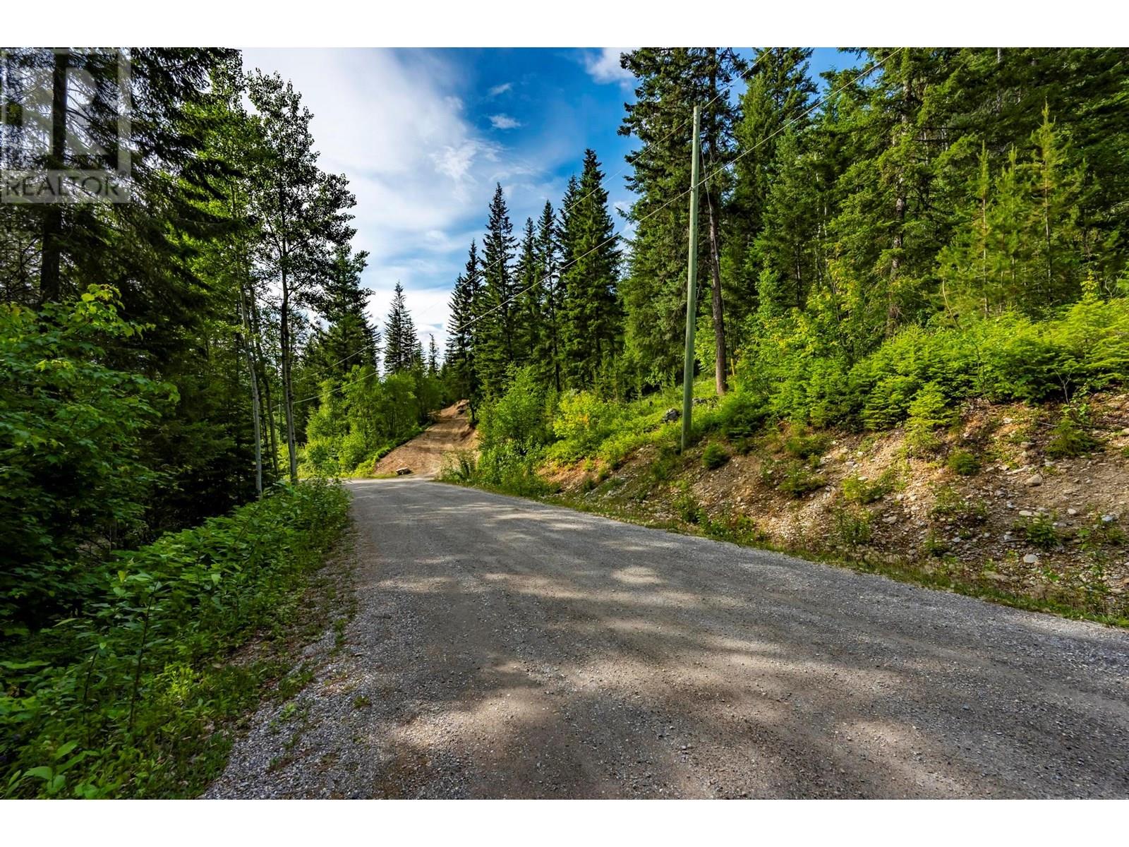 Lot 31 Cougar Drive, Golden, British Columbia  V0A 1H2 - Photo 8 - 10354270