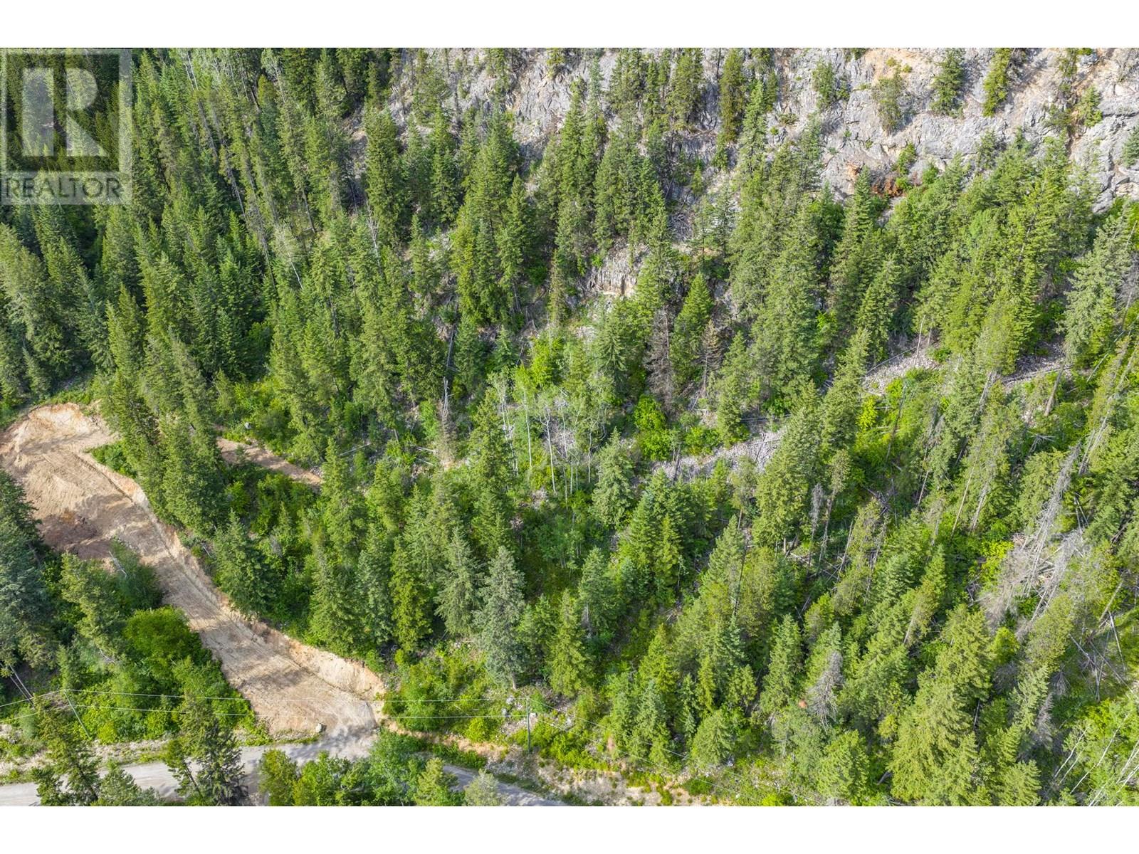 Lot 31 Cougar Drive, Golden, British Columbia  V0A 1H2 - Photo 9 - 10354270