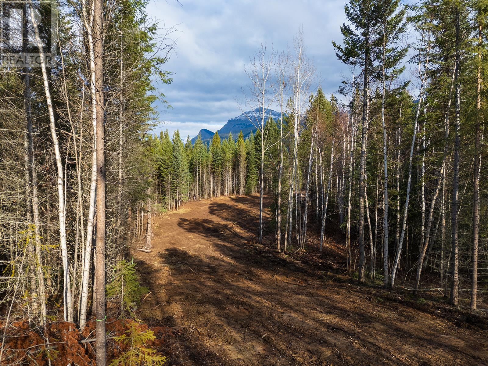 1506 Kashmir Court, Golden, British Columbia  V0A 1H1 - Photo 4 - 10354500