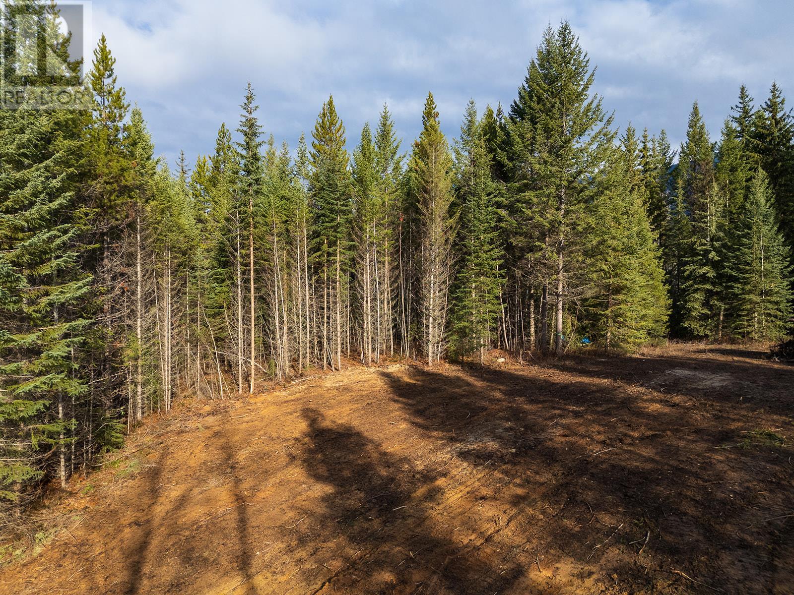 1506 Kashmir Court, Golden, British Columbia  V0A 1H1 - Photo 8 - 10354500